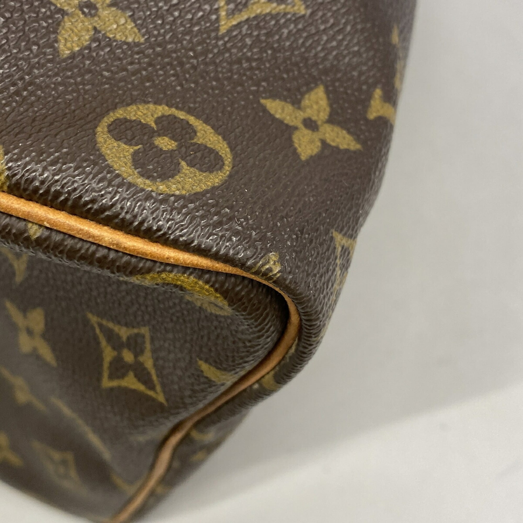 Louis Vuitton Brown Handbag (Pre-Owned)
