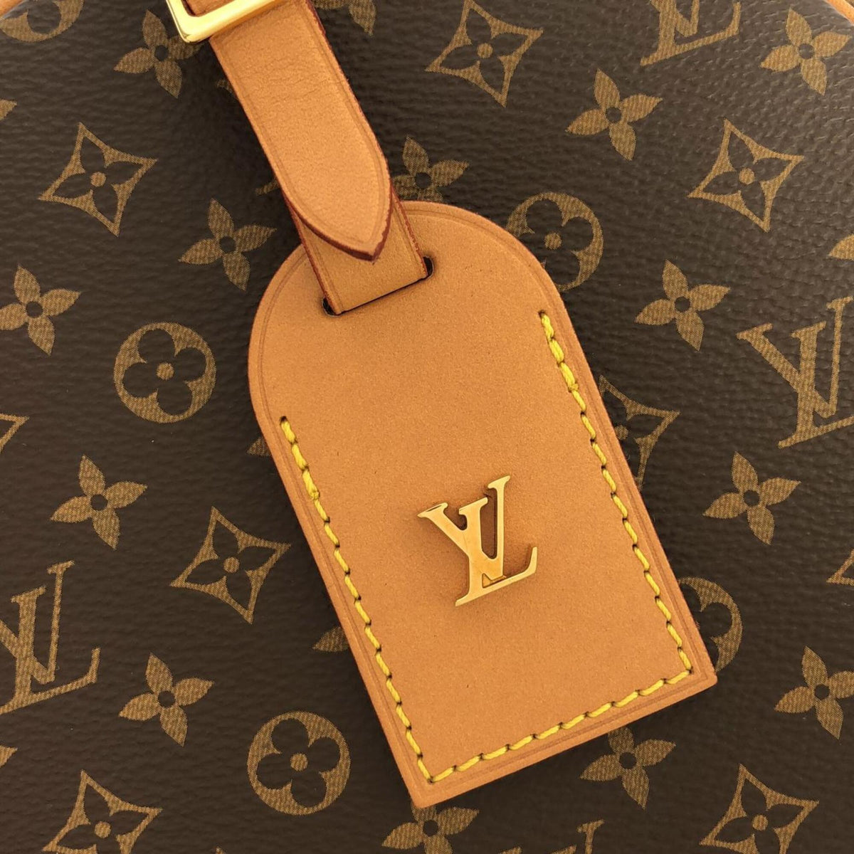 Louis Vuitton Marron Monogram Coated Canvas Handbag (Pre-Owned)