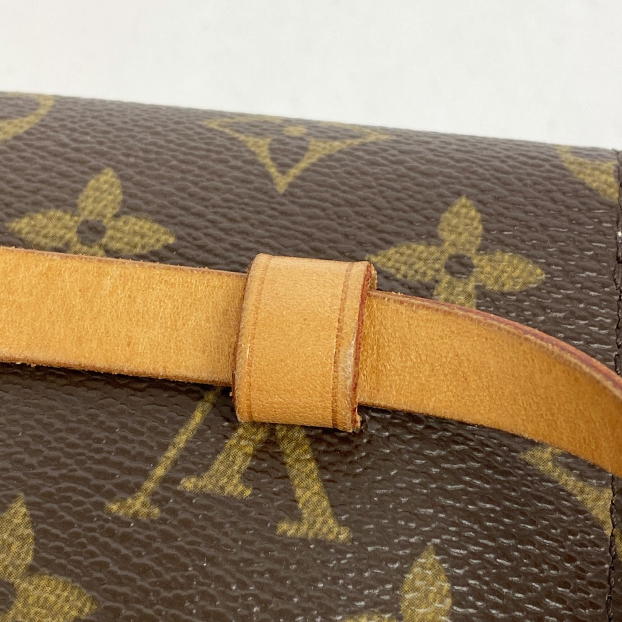 Louis Vuitton Brown Fanny Pack (Pre-Owned)