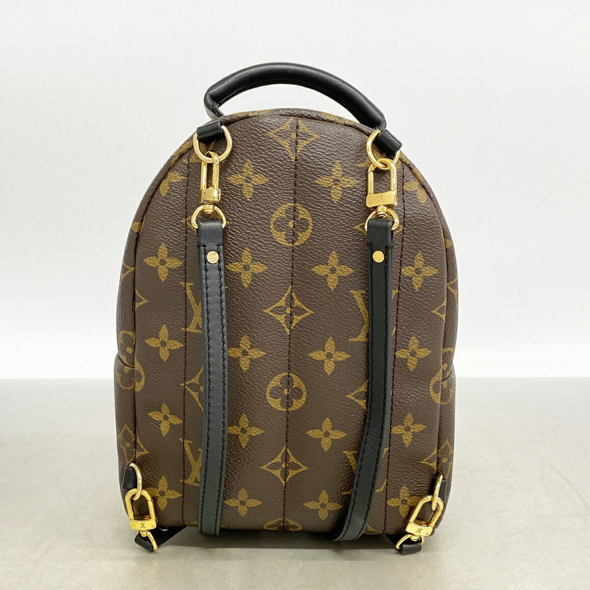 Louis Vuitton Brown Backpack (Pre-Owned)