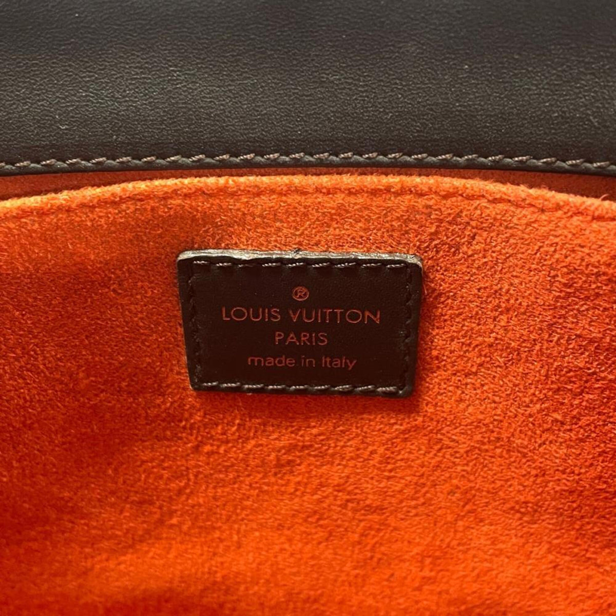 Louis Vuitton Brown Damier Sauvage Leather Handbag (Pre-Owned)