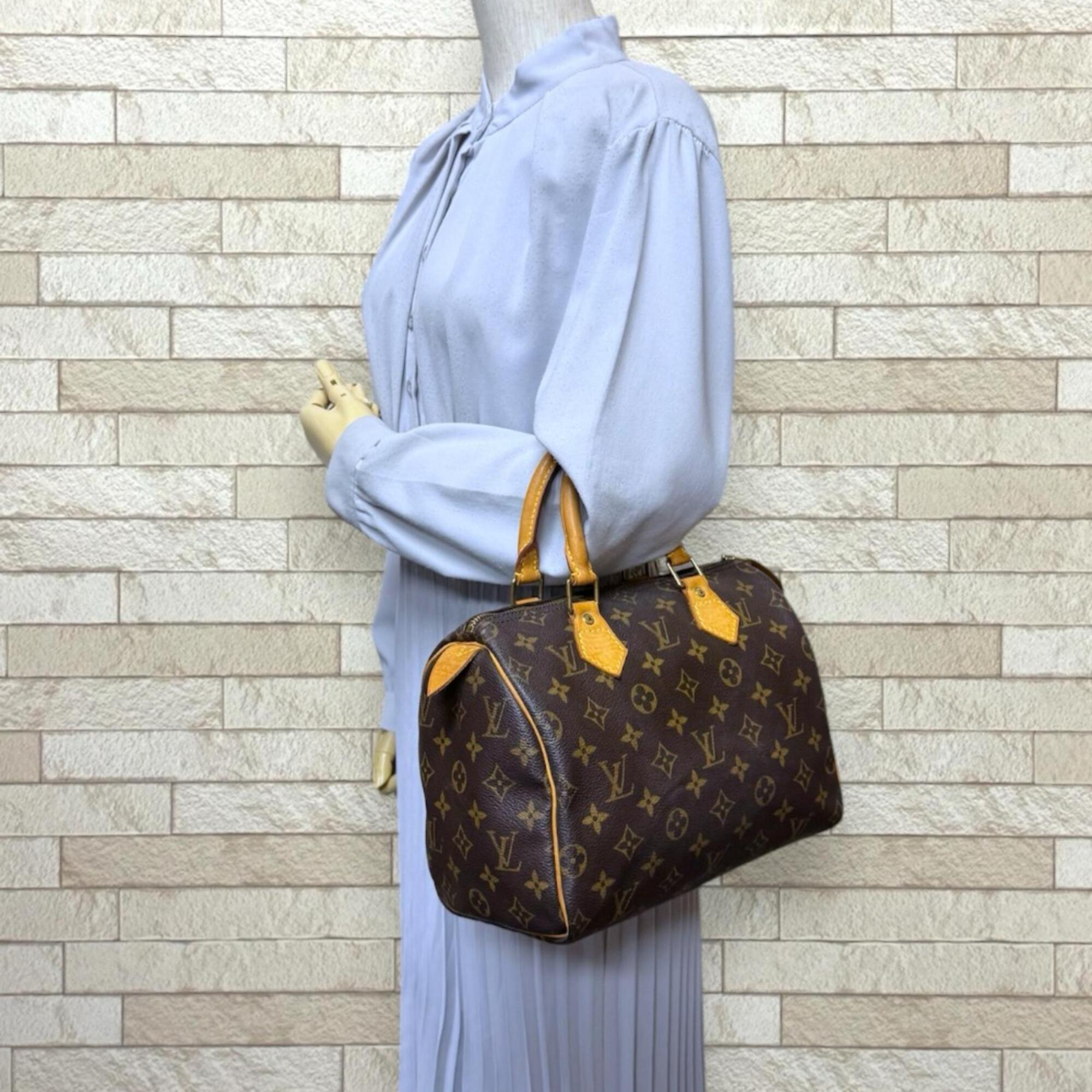 Louis Vuitton Brown Galle Monogram Or Monogram Handbag (Pre-Owned)