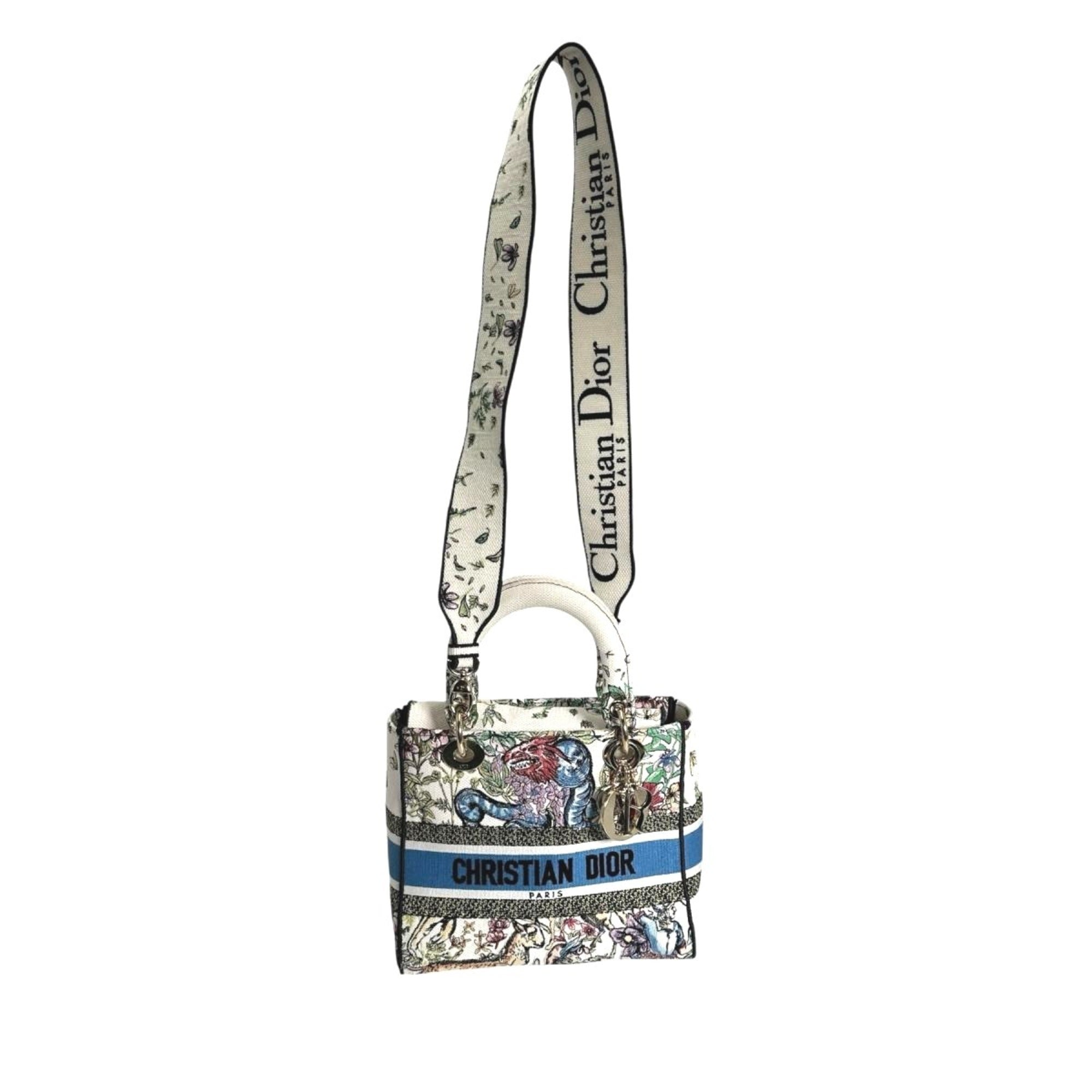 Christian Dior Lady Dior Multi-Color Canvas Handbag (Pre-Owned)