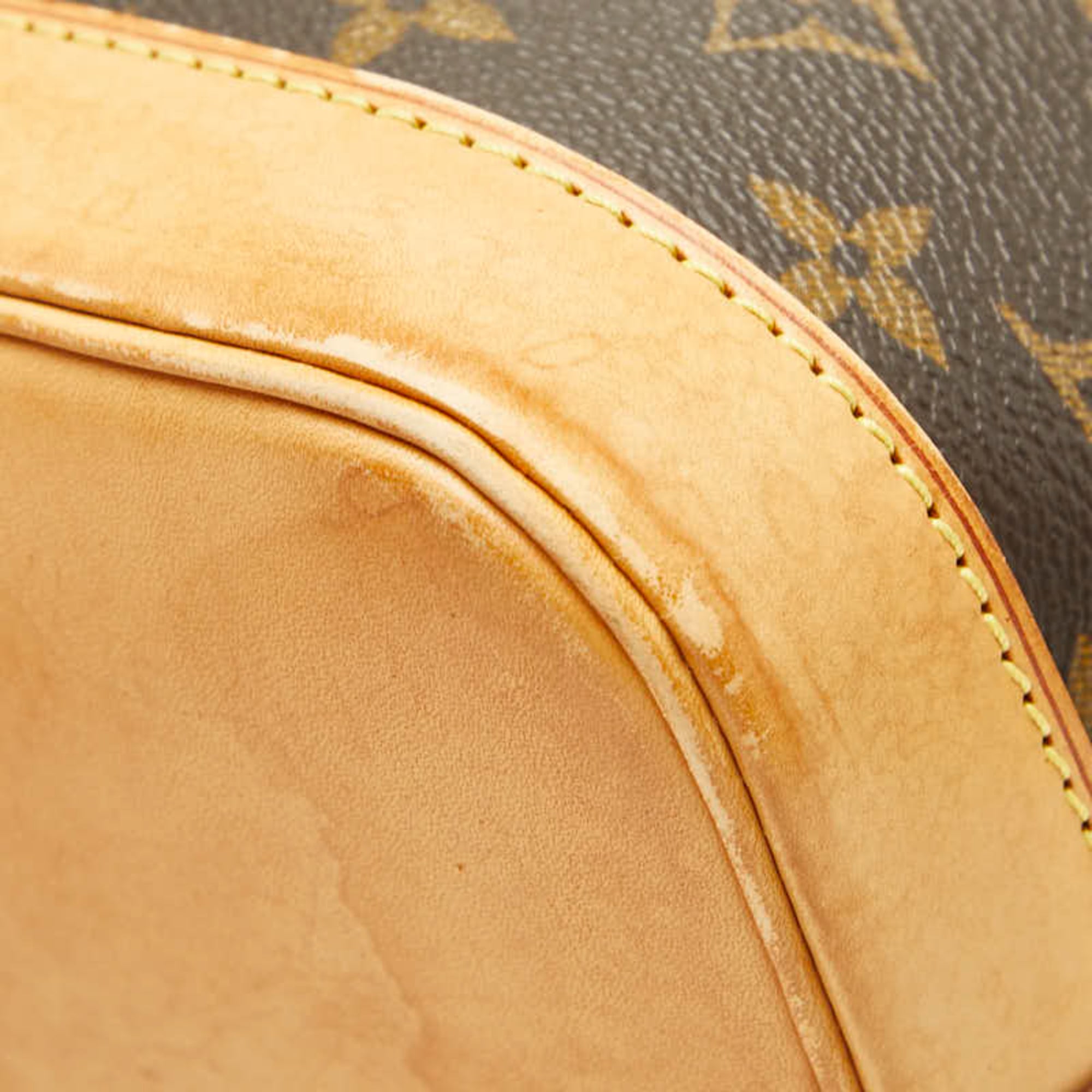 Louis Vuitton Brown Pvc Leather Handbag (Pre-Owned)