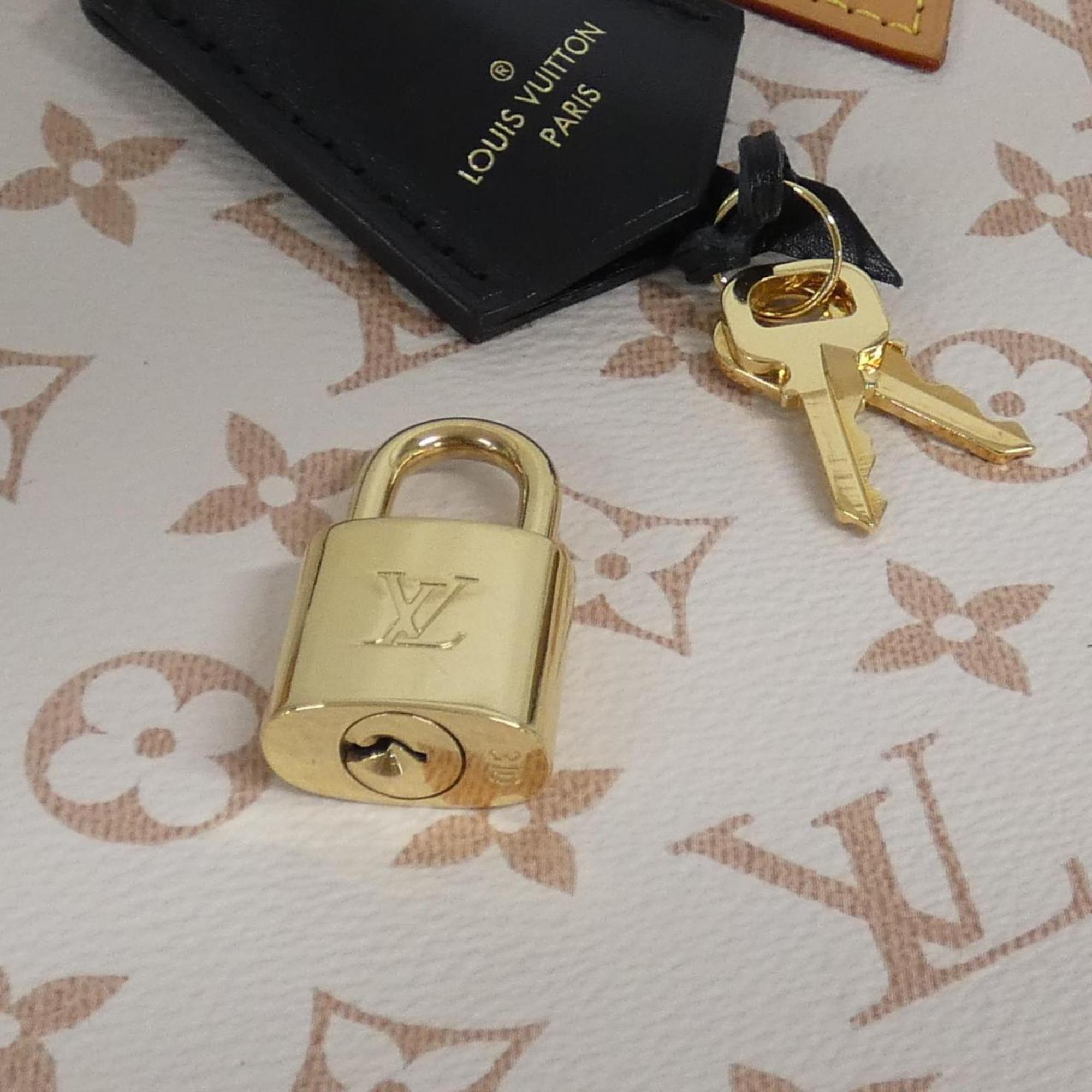 Louis Vuitton Dune Coated Canvas Handbag (Pre-Owned)