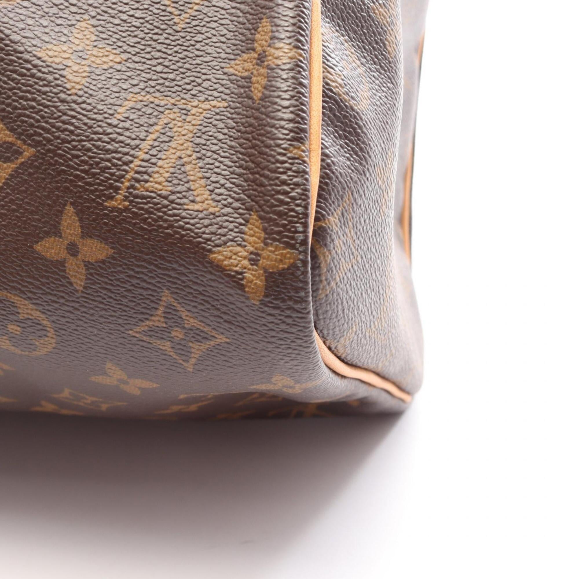 Louis Vuitton Brown Pvc Leather Handbag (Pre-Owned)