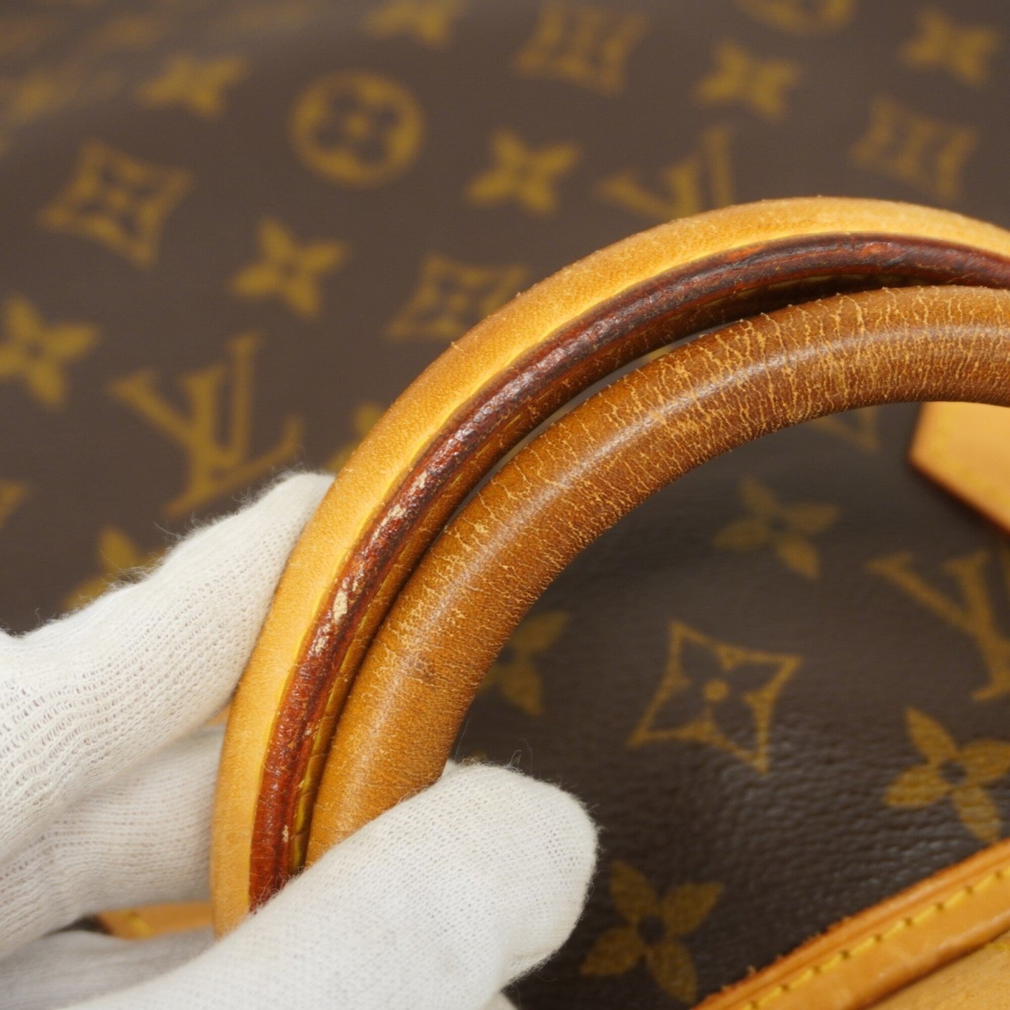 Louis Vuitton Brown Garment Case (Pre-Owned)