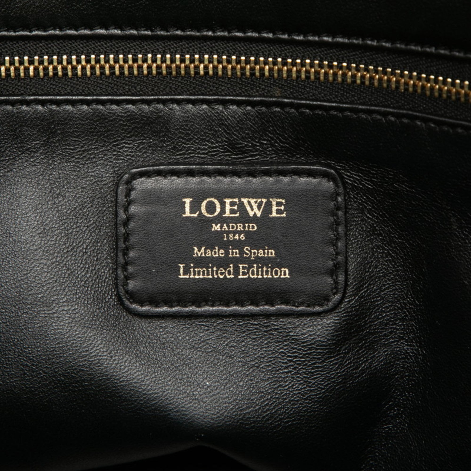 Loewe Amazona Green Leather Handbag (Pre-Owned)