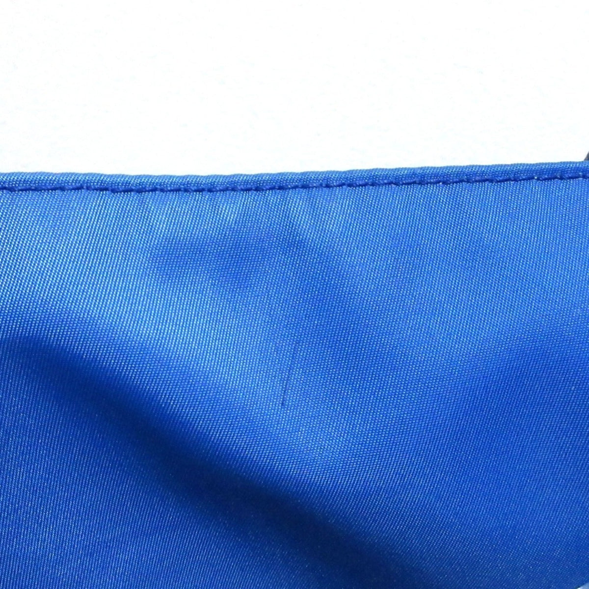 Bottega Veneta Blue Tote Bag (Pre-Owned)