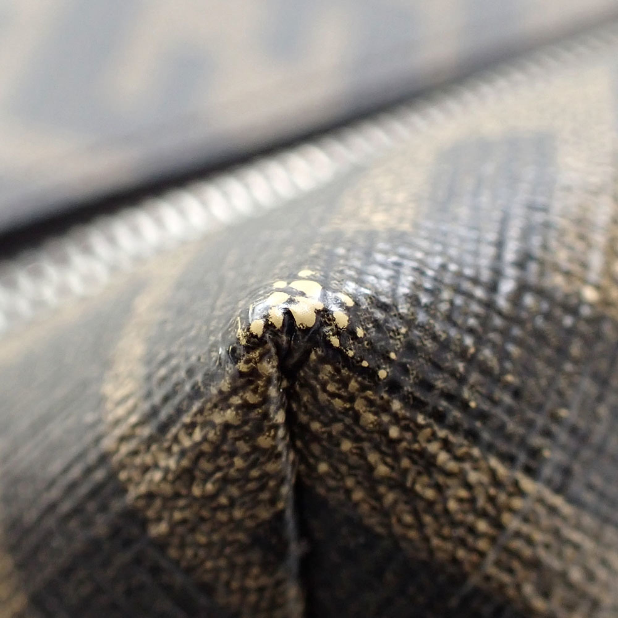 Fendi Zucca Black Brown Pvc Leather Clutch Bag (Pre-Owned)