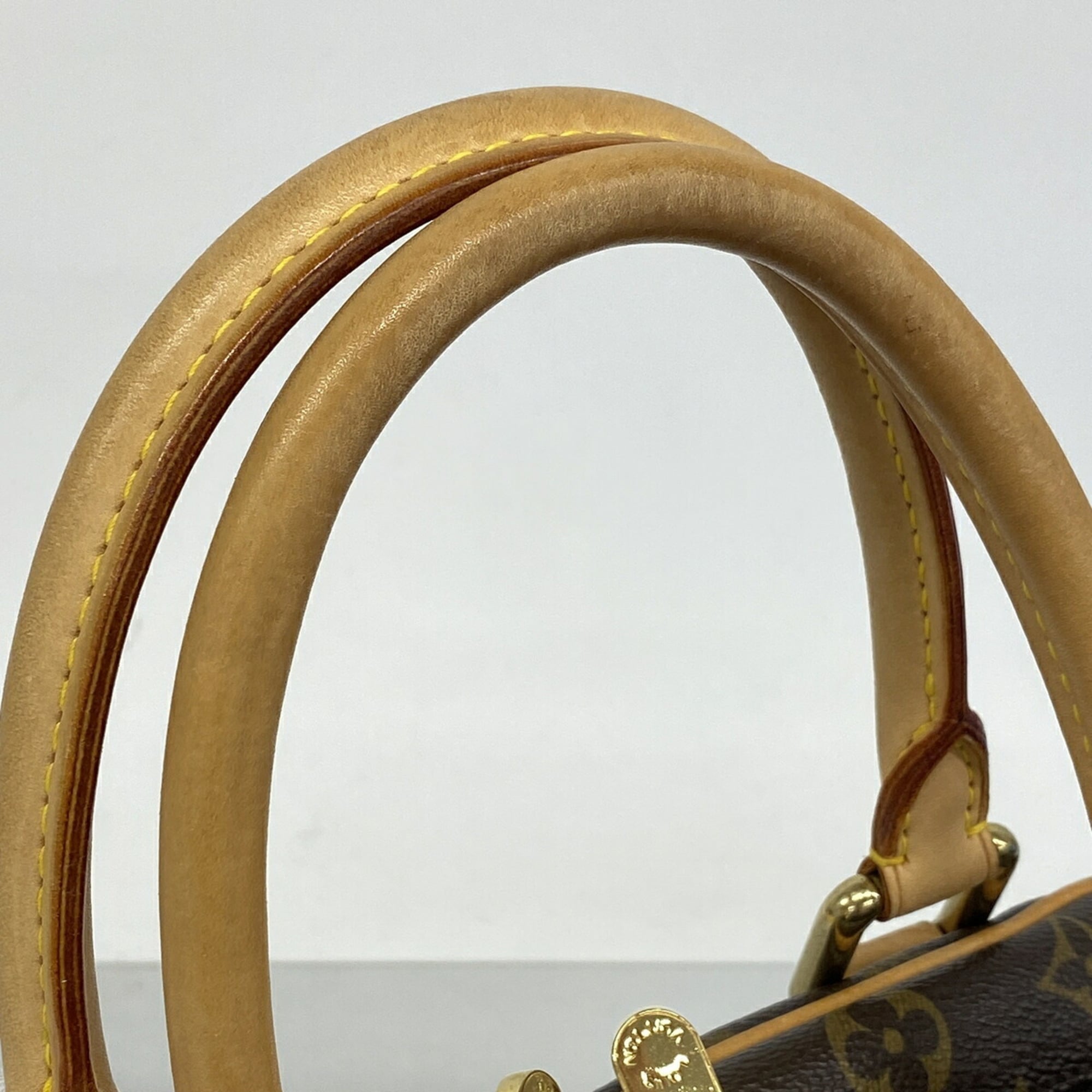 Louis Vuitton Brown Handbag (Pre-Owned)