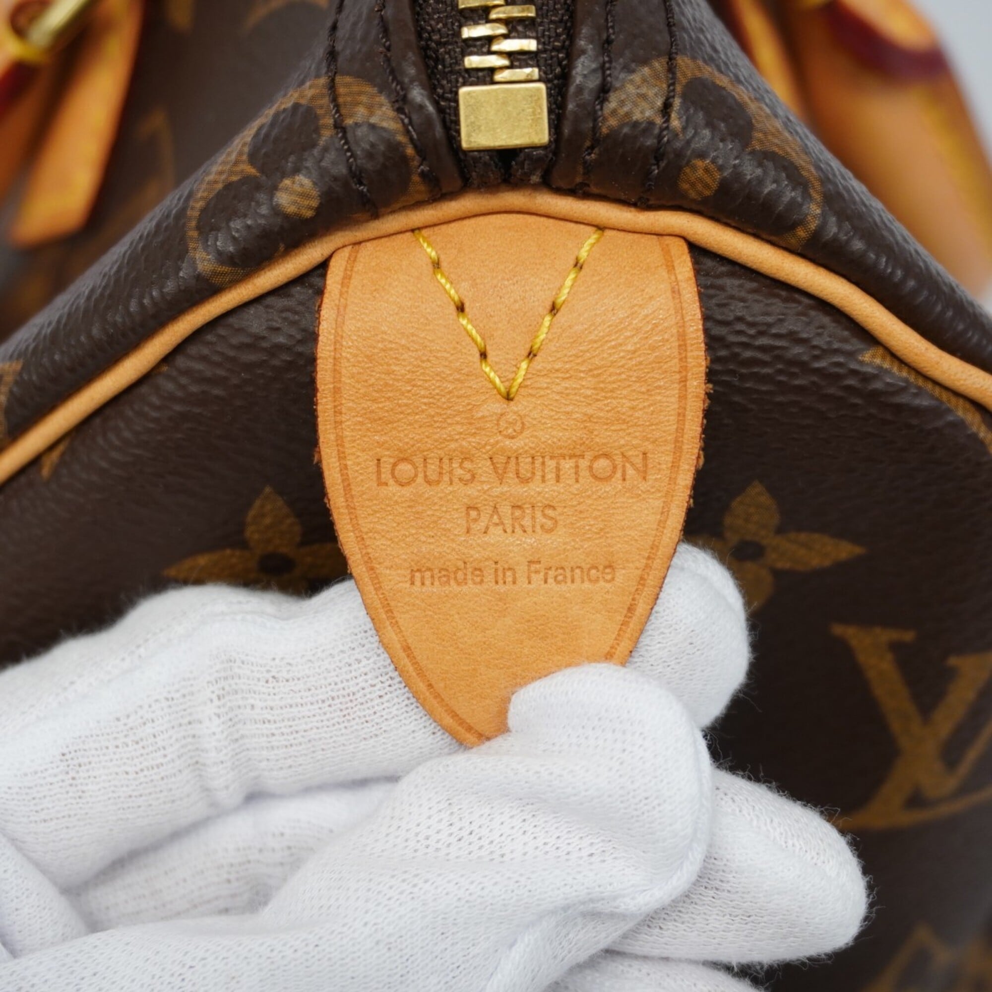 Louis Vuitton Brown Handbag (Pre-Owned)