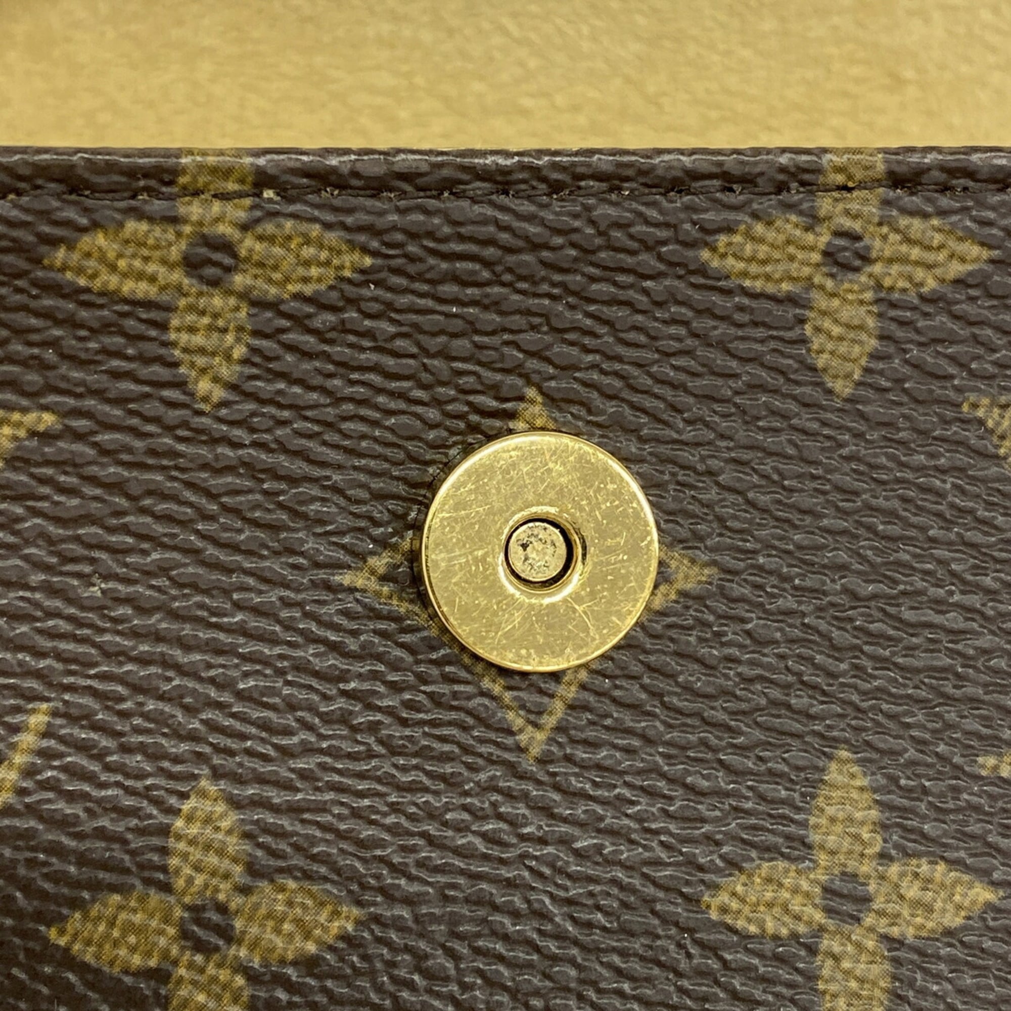 Louis Vuitton Brown Fanny Pack (Pre-Owned)