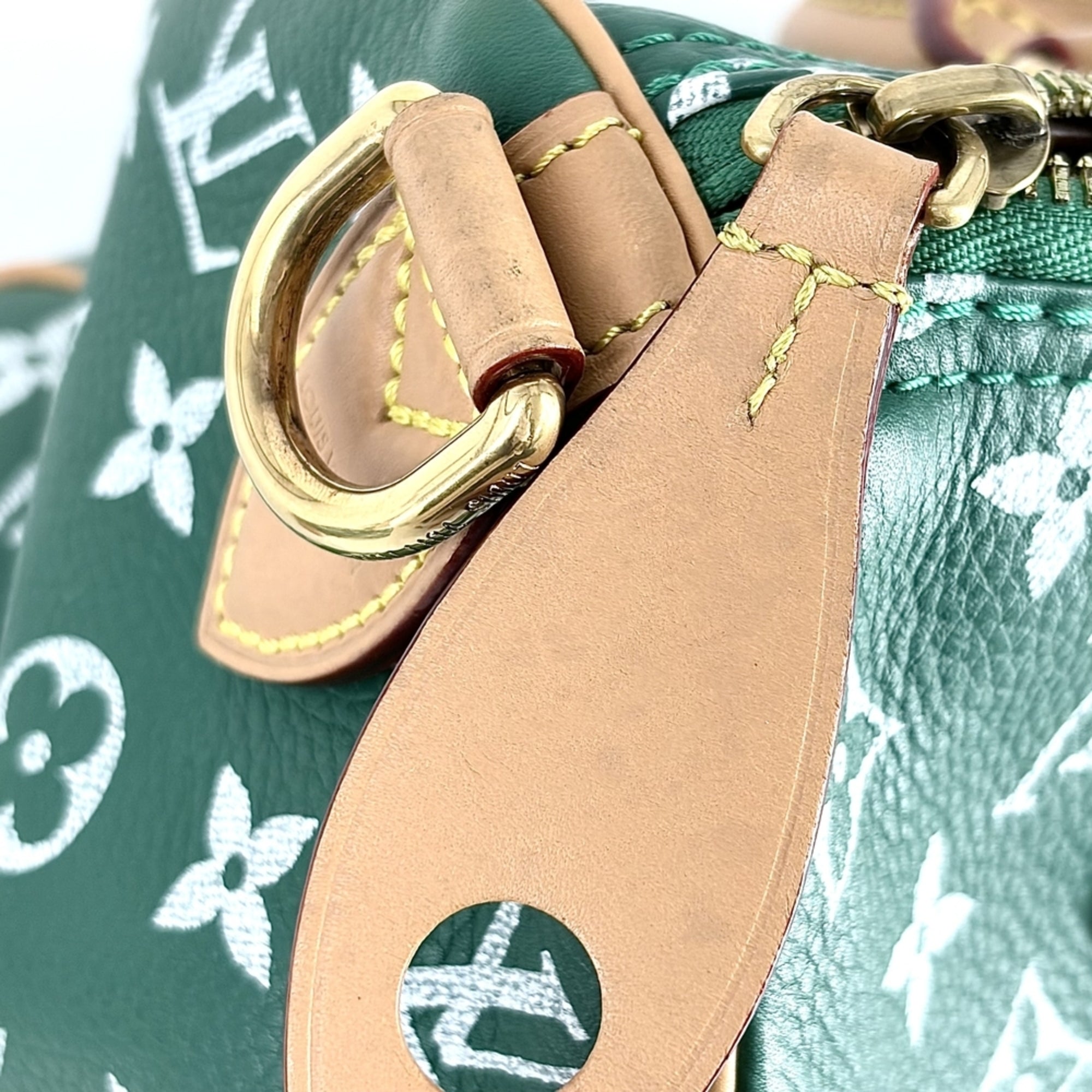 Louis Vuitton Monogram Vert Monogram Handbag Shoulder Bag (Pre-Owned)