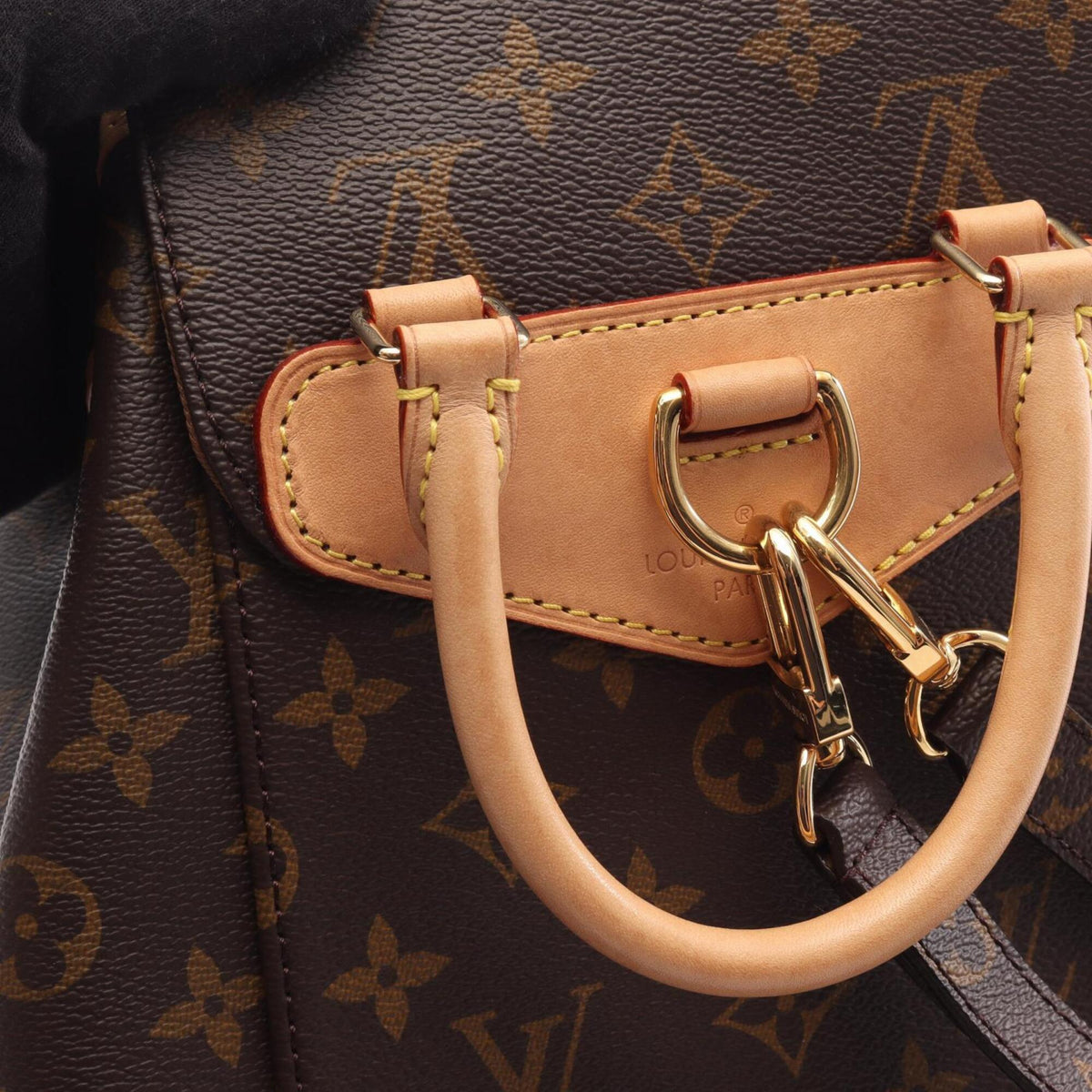 Louis Vuitton Brown Coated Canvas Leather Backpack Handbag (Pre-Owned)