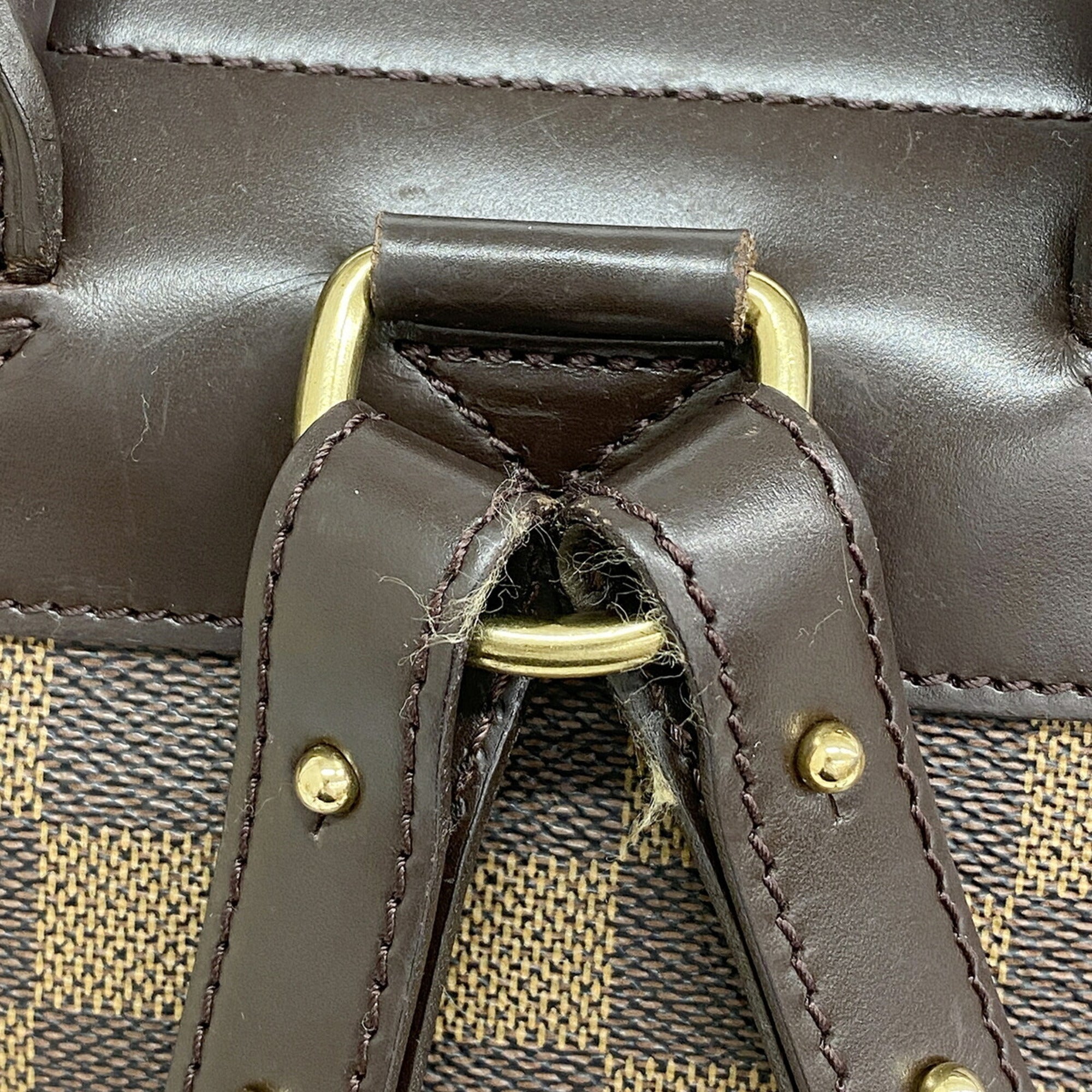 Louis Vuitton Ebene Backpack (Pre-Owned)