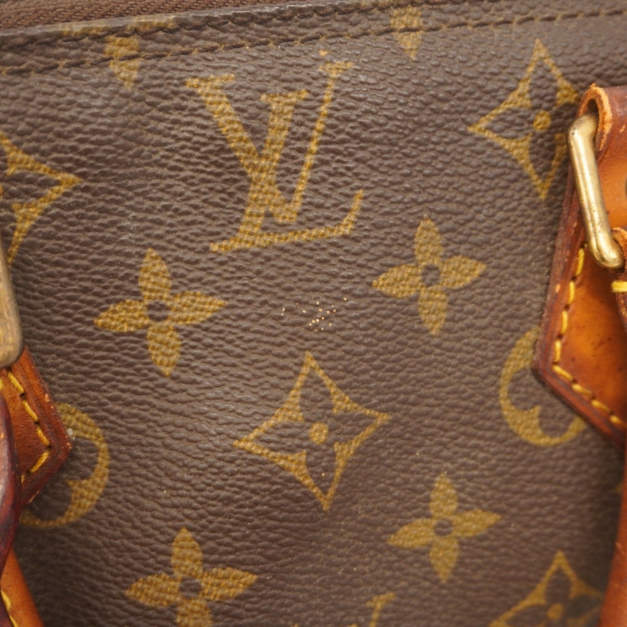 Louis Vuitton Brown Handbag (Pre-Owned)