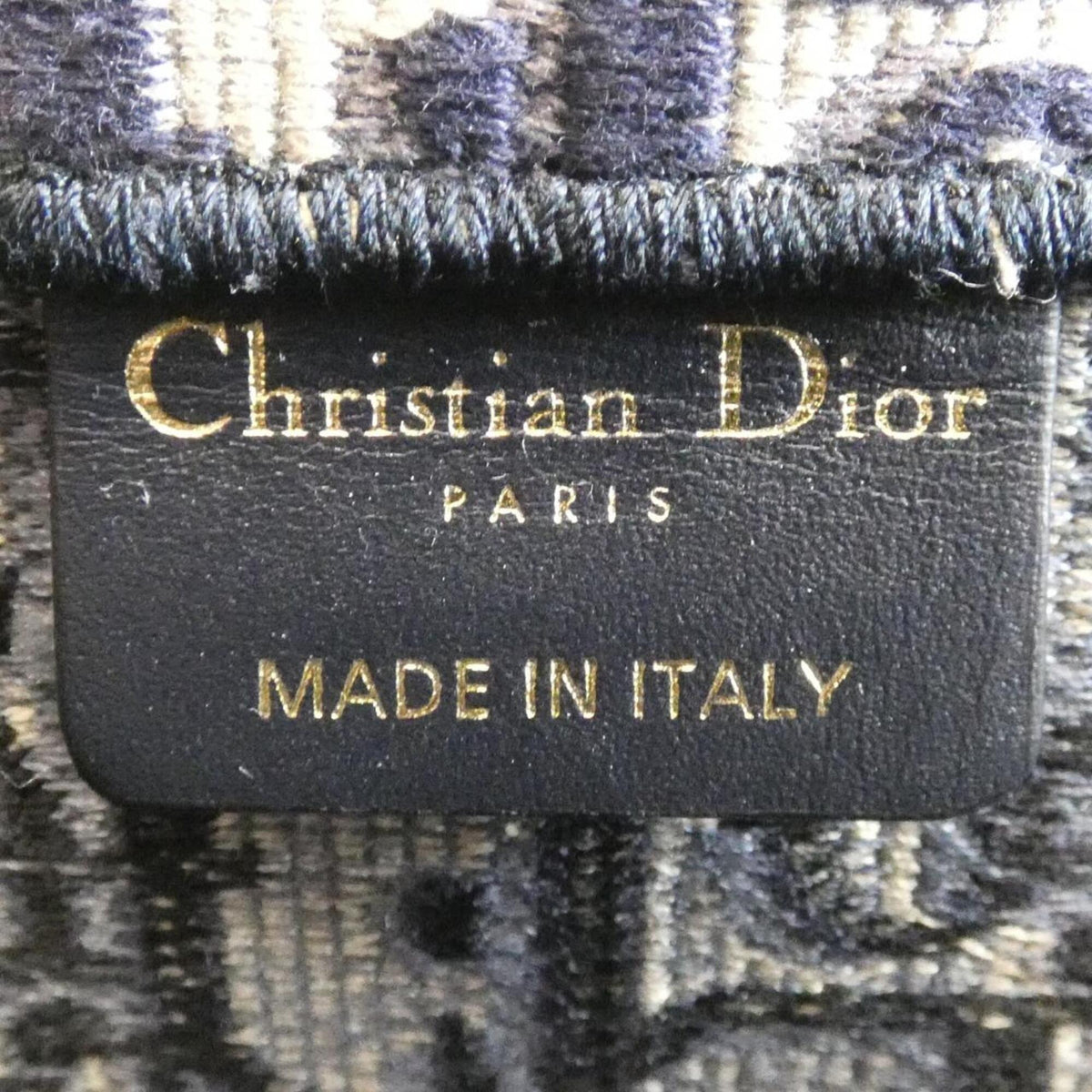 Christian Dior Blue Canvas Handbag (Pre-Owned)