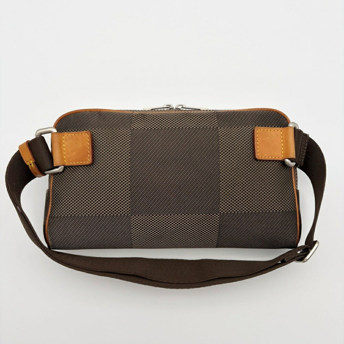 Louis Vuitton Damier Geant Earth Damier Geant Fanny Pack (Pre-Owned)