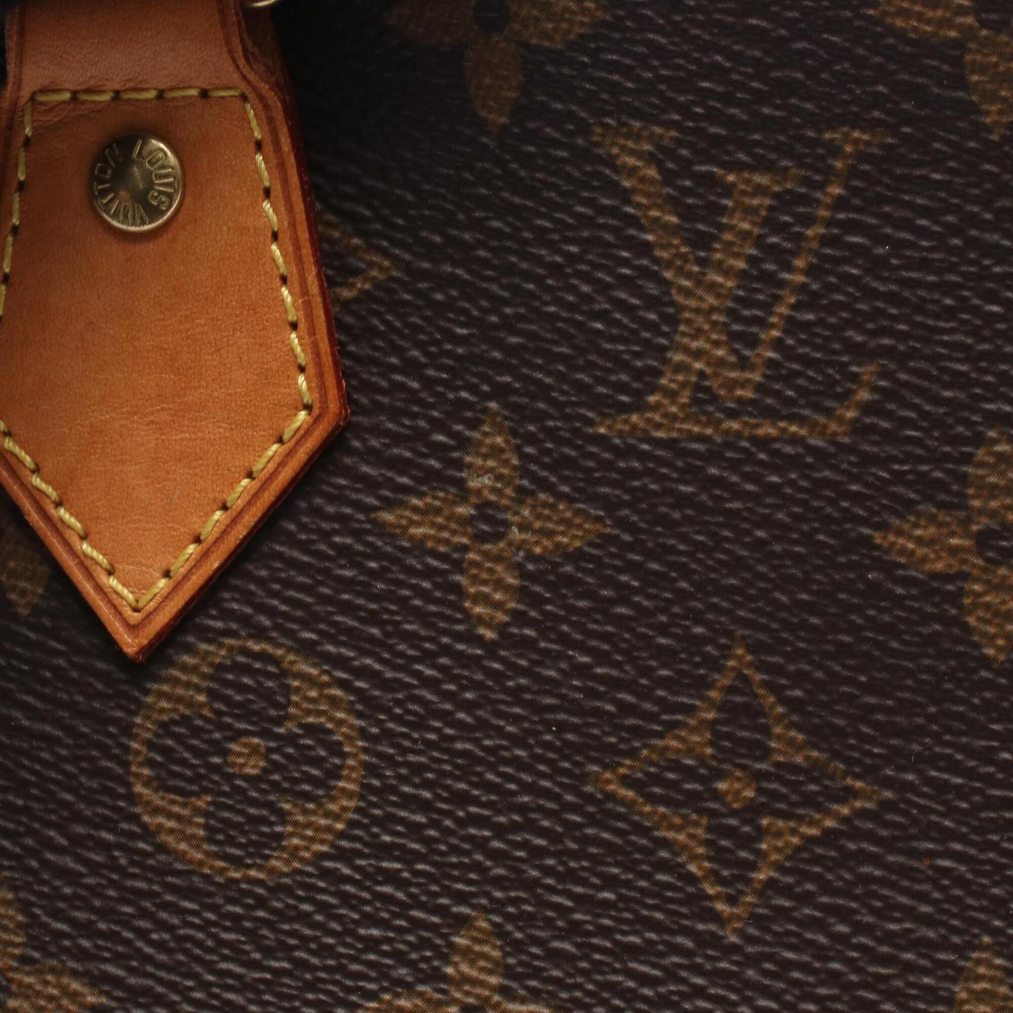 Louis Vuitton Brown Coated Canvas Pvc Monogram Leather Handbag (Pre-Owned)