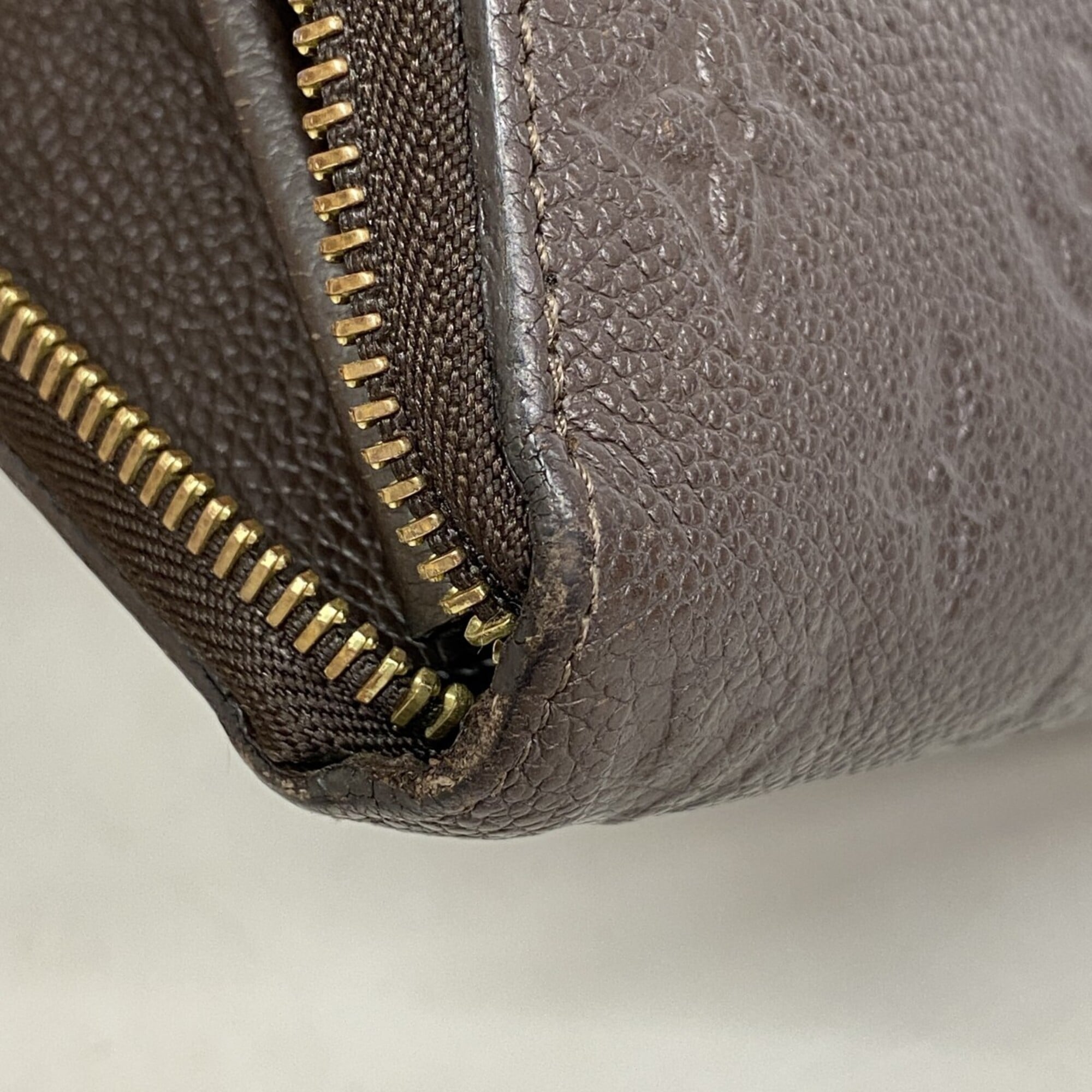 Louis Vuitton Earth Long Wallet (Bi-Fold) (Pre-Owned)