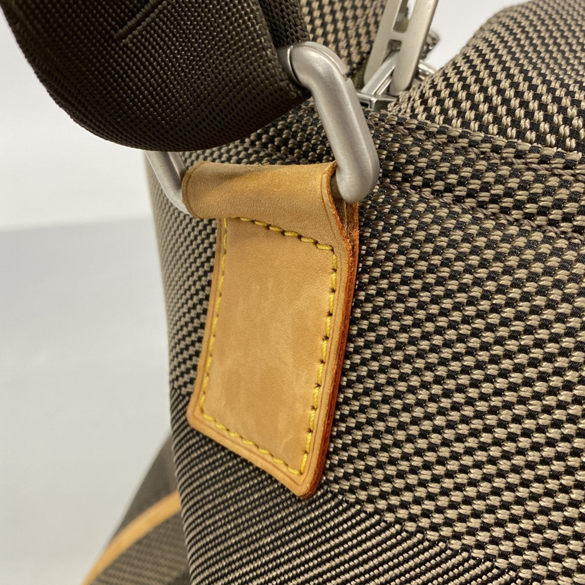 Louis Vuitton Earth Boston Bag (Pre-Owned)