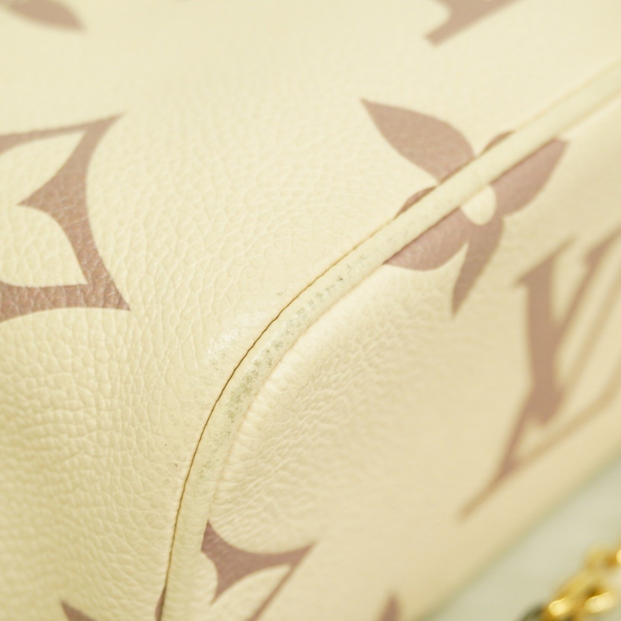 Louis Vuitton Cream Vanity Bag (Pre-Owned)