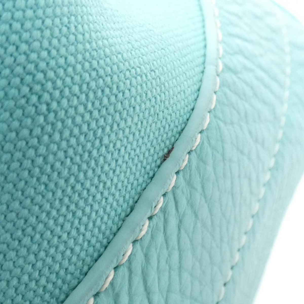Tiffany Tiffany Blue Canvas Leather Handbag (Pre-Owned)