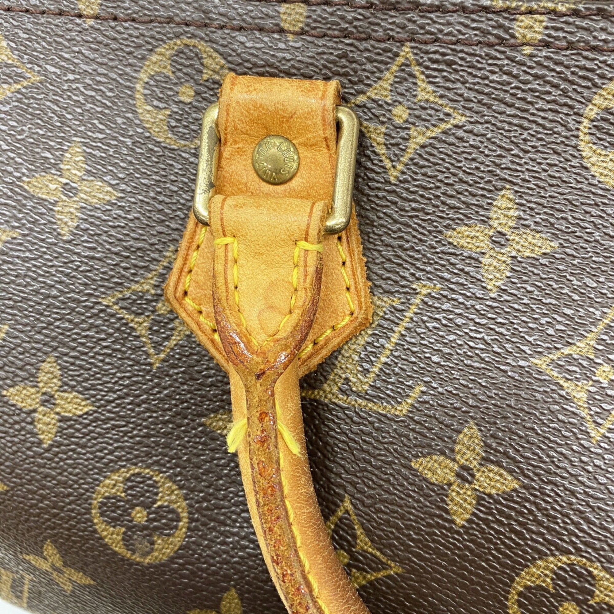 Louis Vuitton Brown Handbag (Pre-Owned)