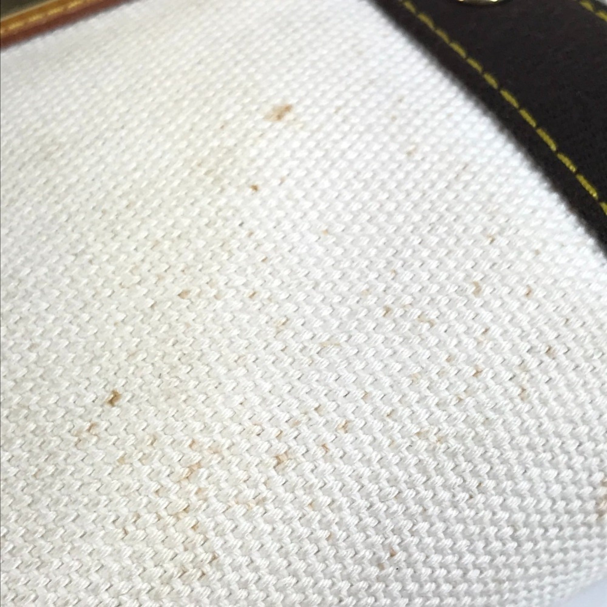 Louis Vuitton Antigua Brown White Canvas Handbag Tote Bag (Pre-Owned)
