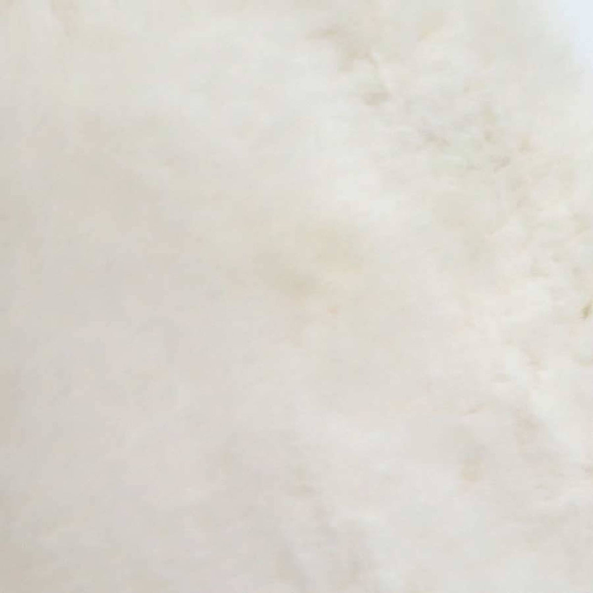 Chanel Off-White Fur Leather Handbag Shoulder Bag (Pre-Owned)