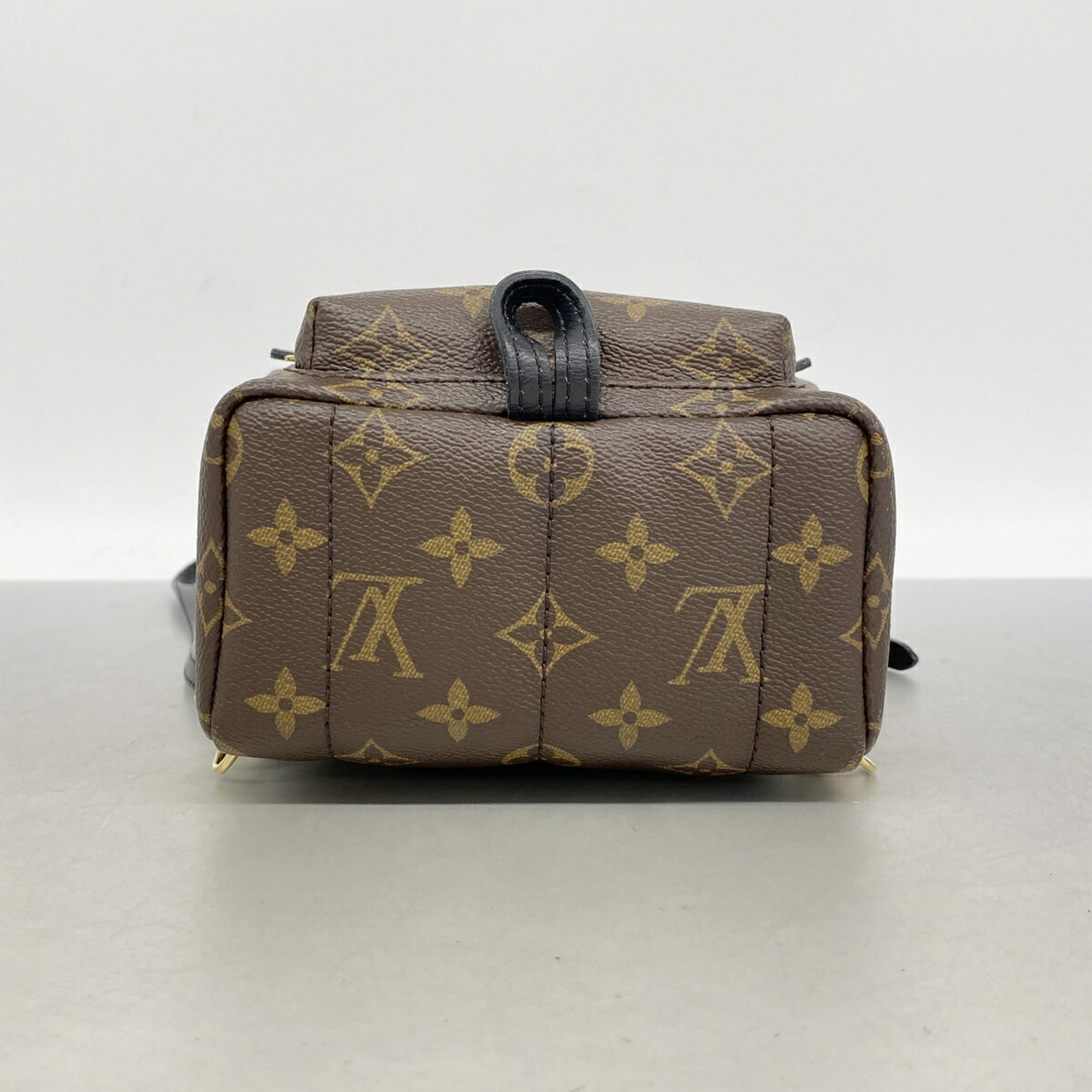 Louis Vuitton Brown Backpack (Pre-Owned)