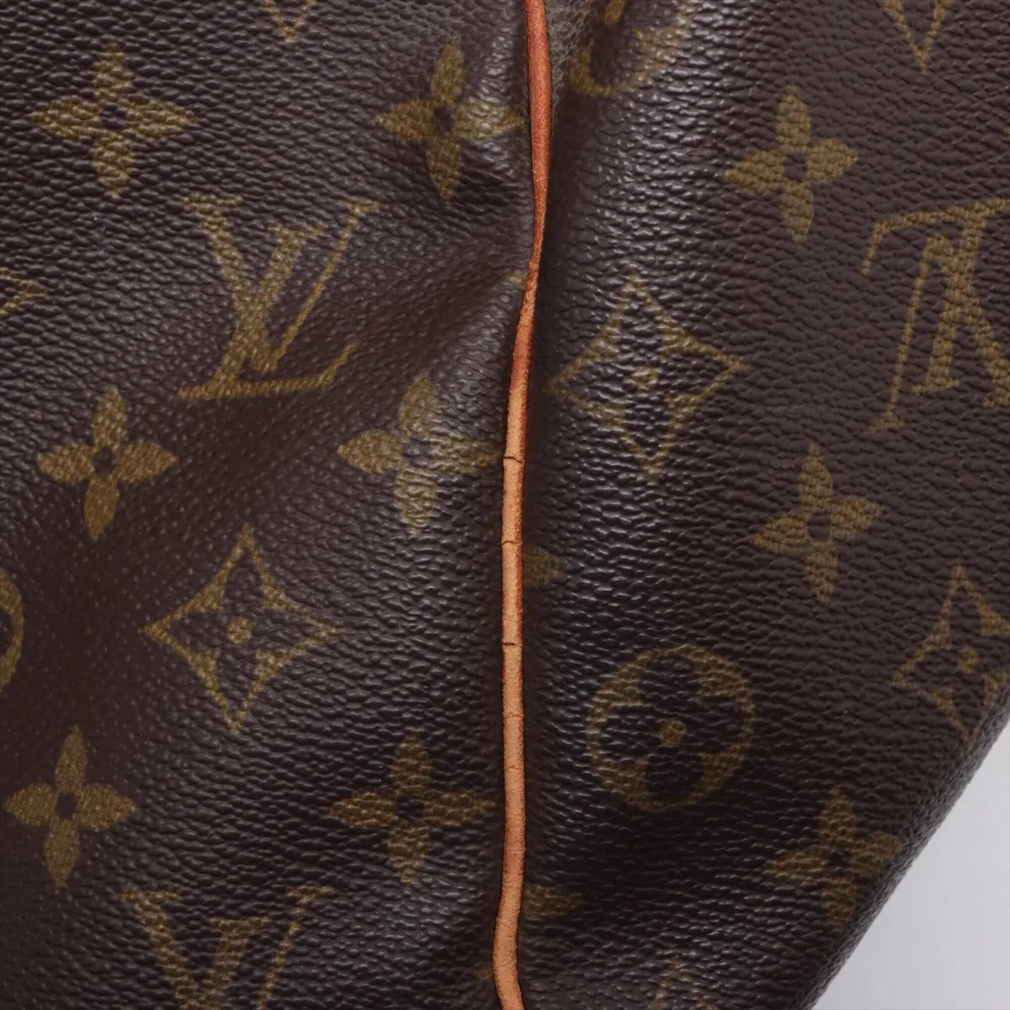 Louis Vuitton Brown Coated Canvas Leather Handbag Tote Bag (Pre-Owned)