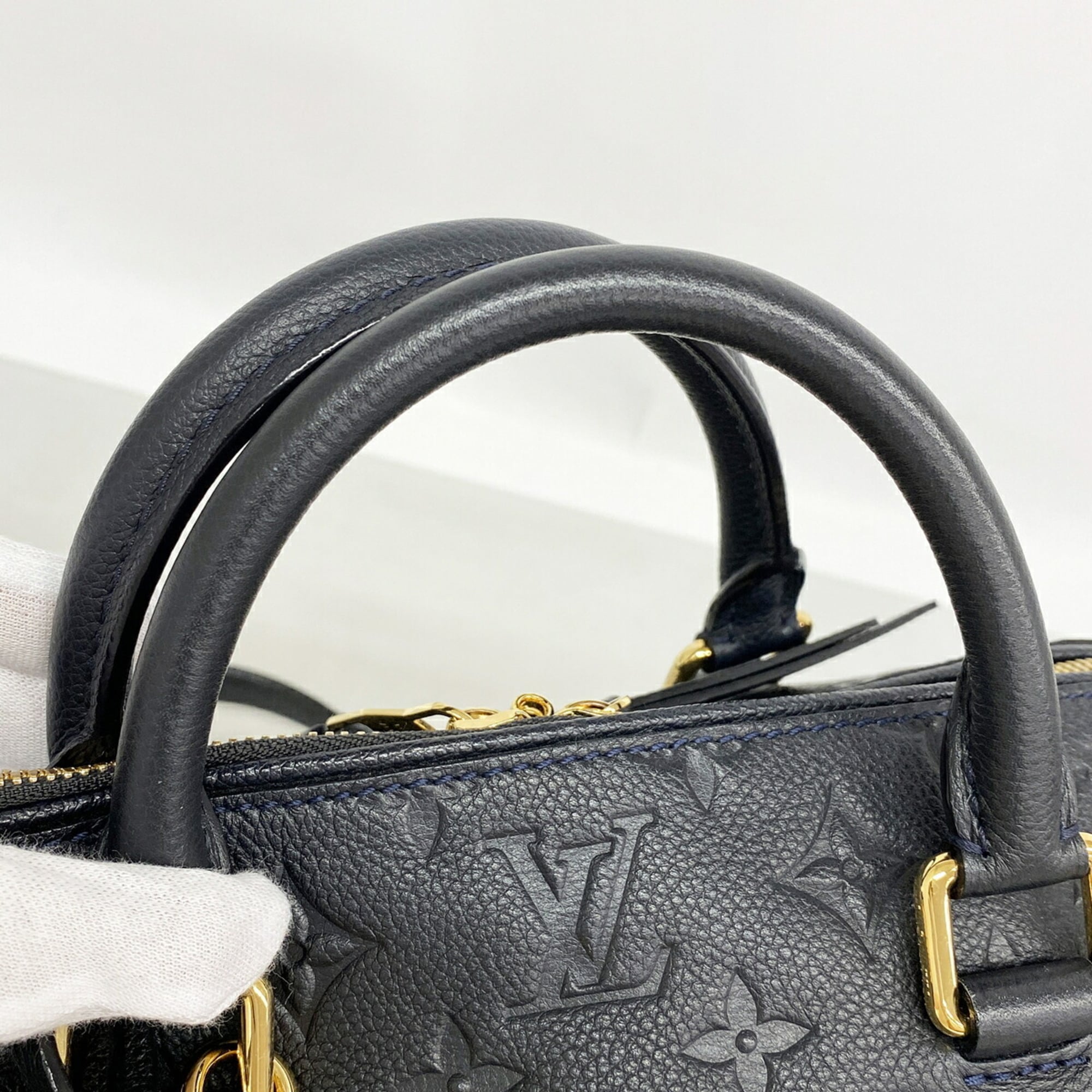 Louis Vuitton Infini Handbag (Pre-Owned)