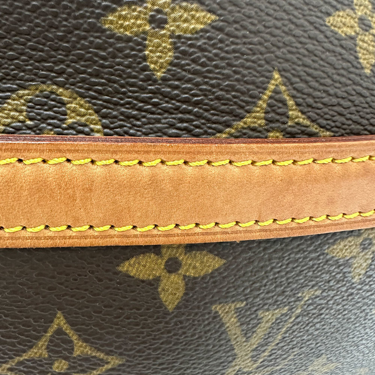 Louis Vuitton Brown Handbag (Pre-Owned)