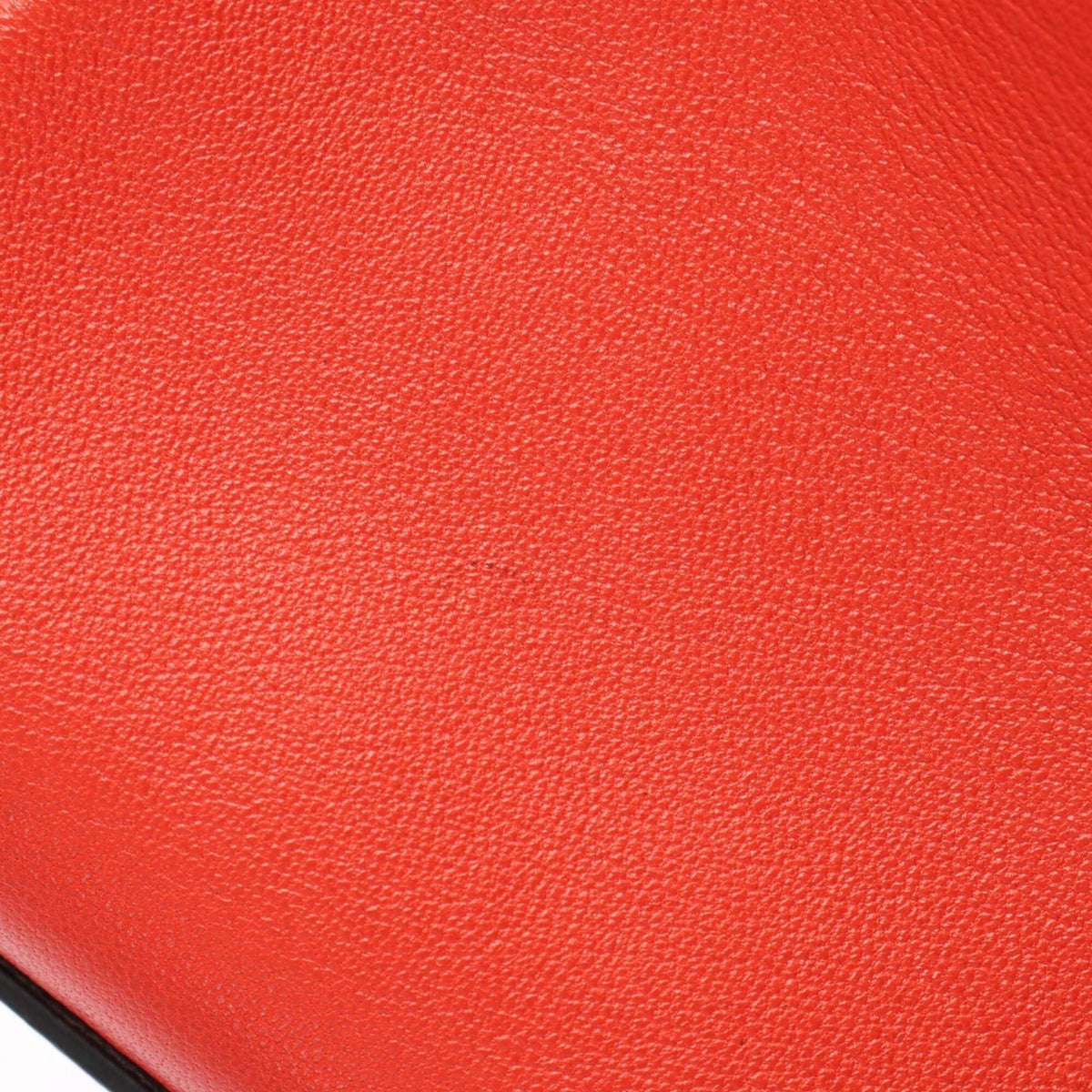 Fendi Multi-Color Red Color Leather Handbag (Pre-Owned)
