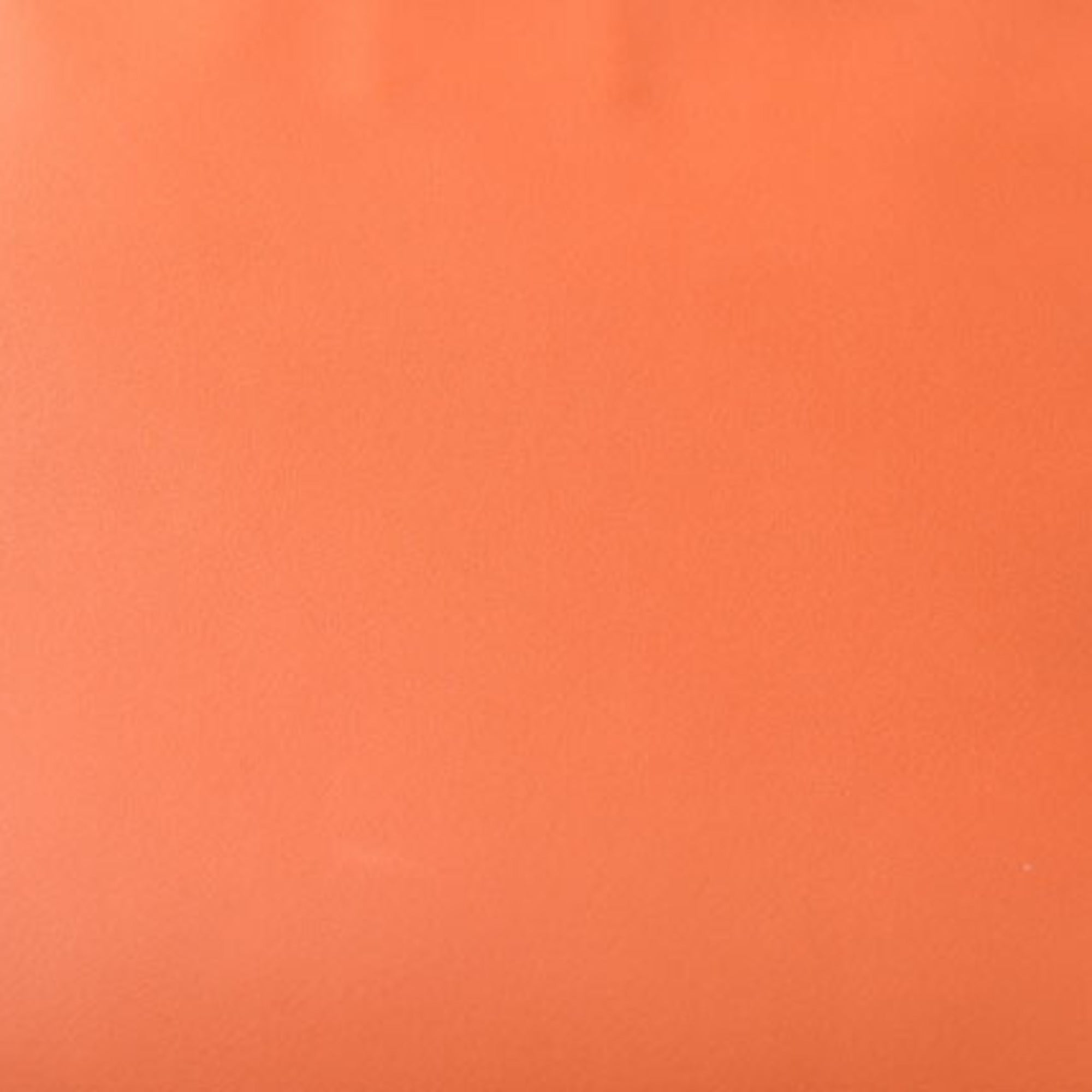 Loewe Coral Color Leather Clutch Bag (Pre-Owned)