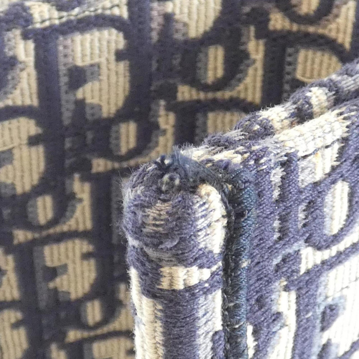 Christian Dior Blue Canvas Handbag (Pre-Owned)
