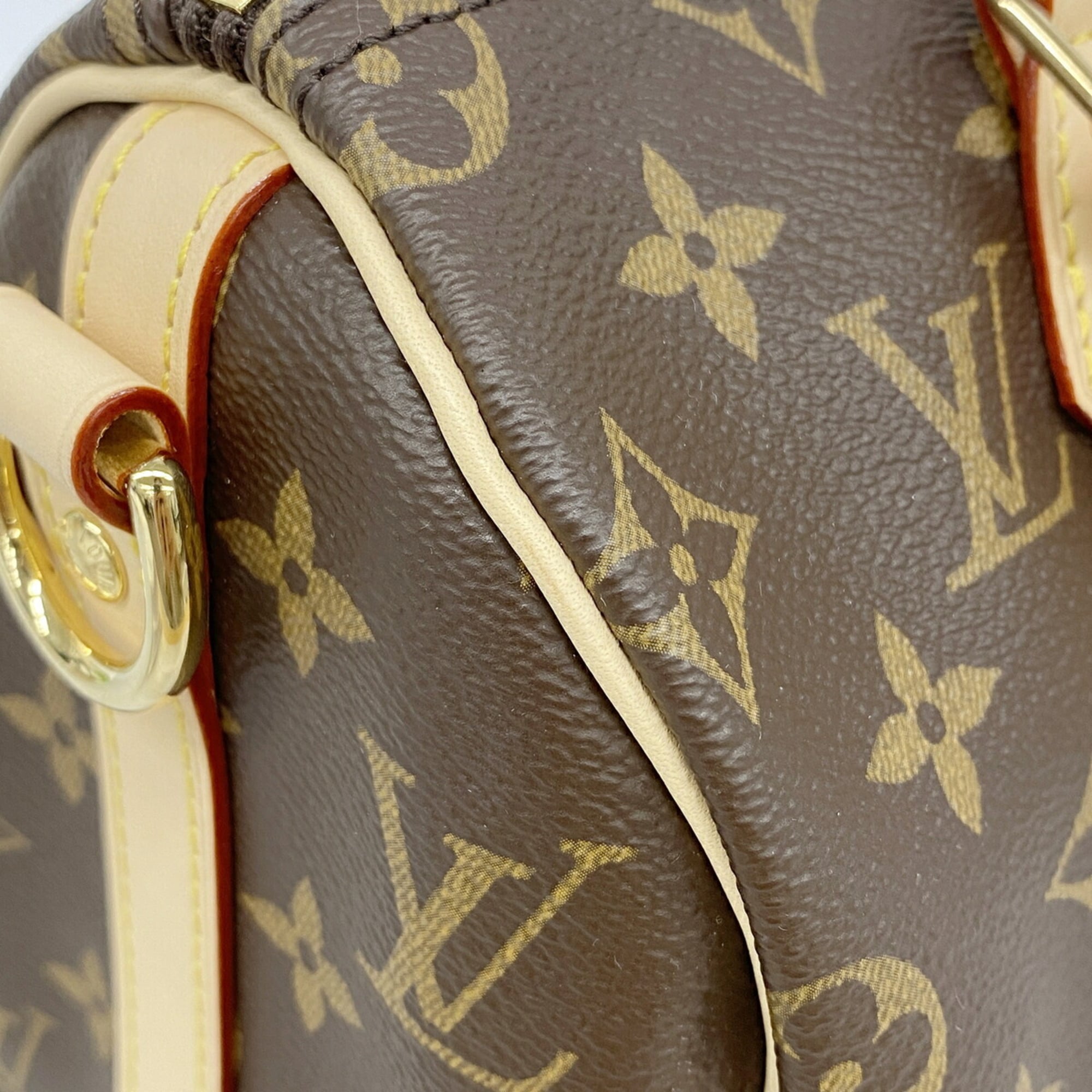 Louis Vuitton Brown Handbag (Pre-Owned)