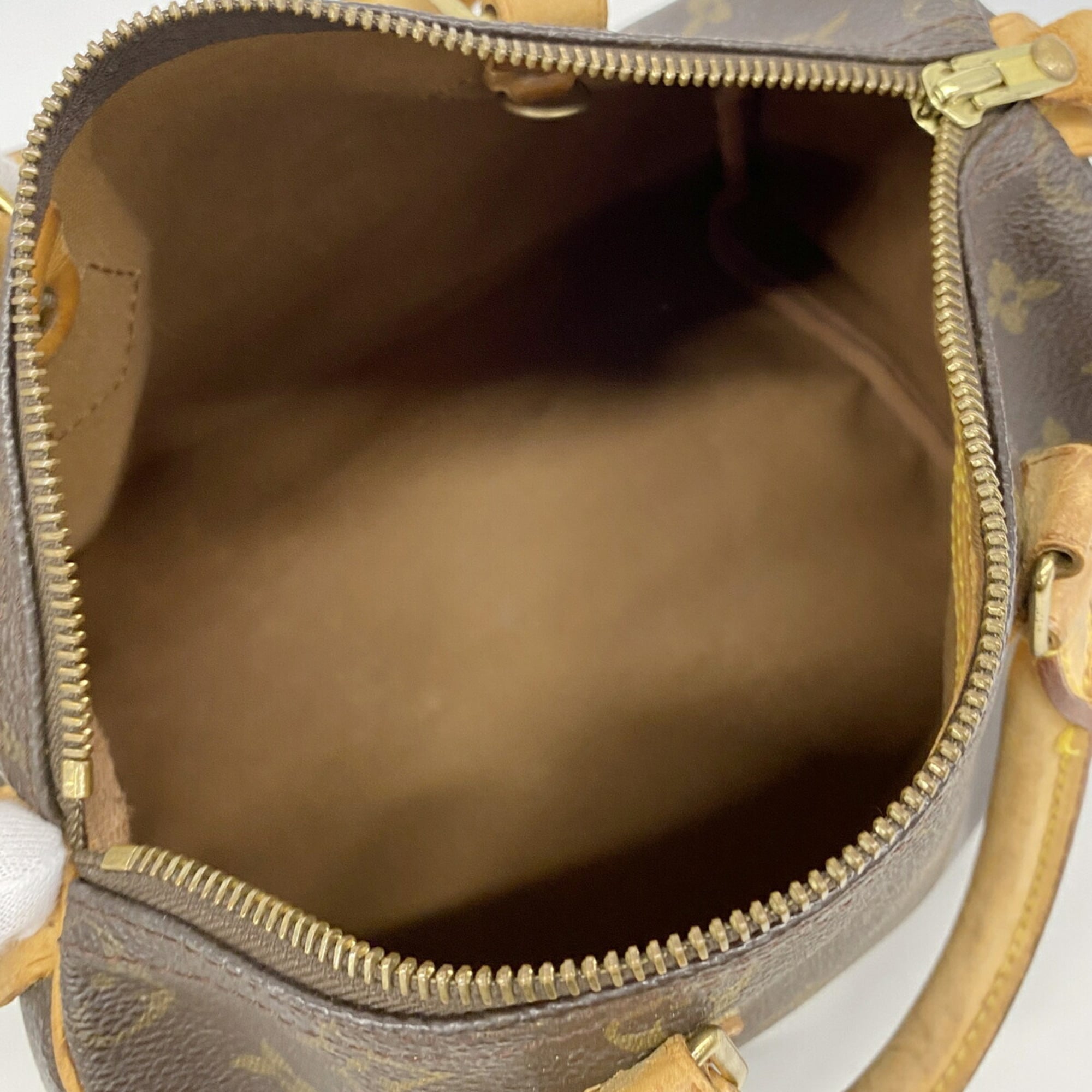 Louis Vuitton Brown Handbag (Pre-Owned)