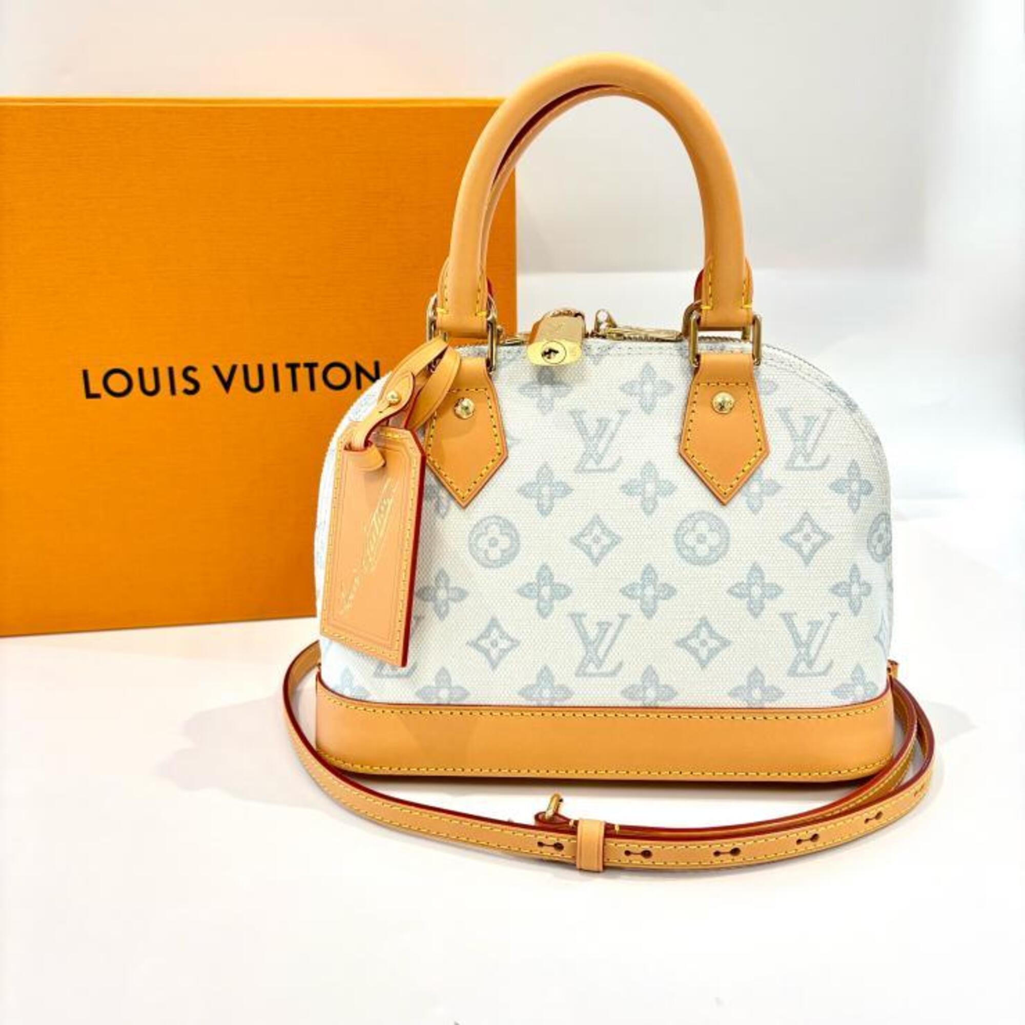 Louis Vuitton Blue Brown Handbag (Pre-Owned)