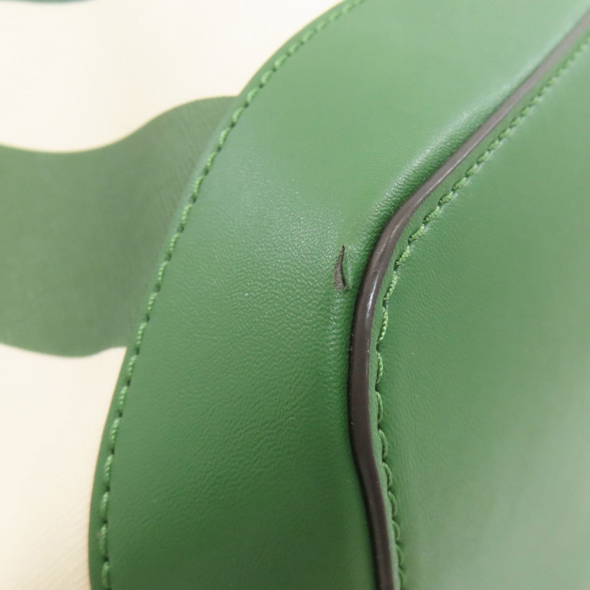 Michael Kors Green Pvc Tote Bag (Pre-Owned)