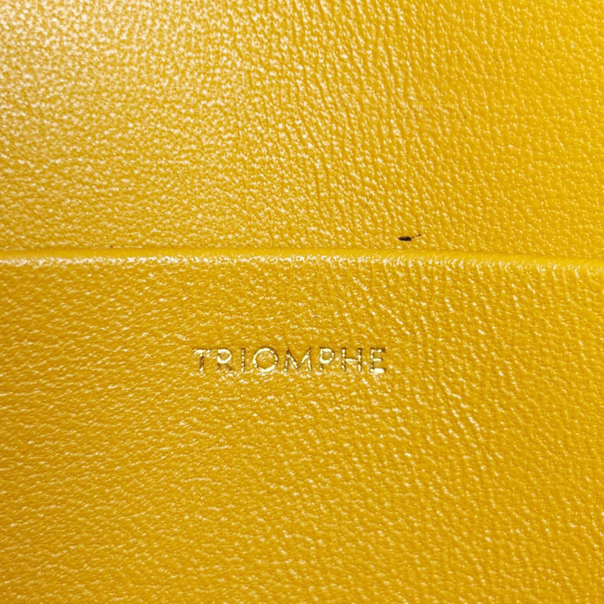 Celine Yellow Leather Shoulder Bag (Pre-Owned)