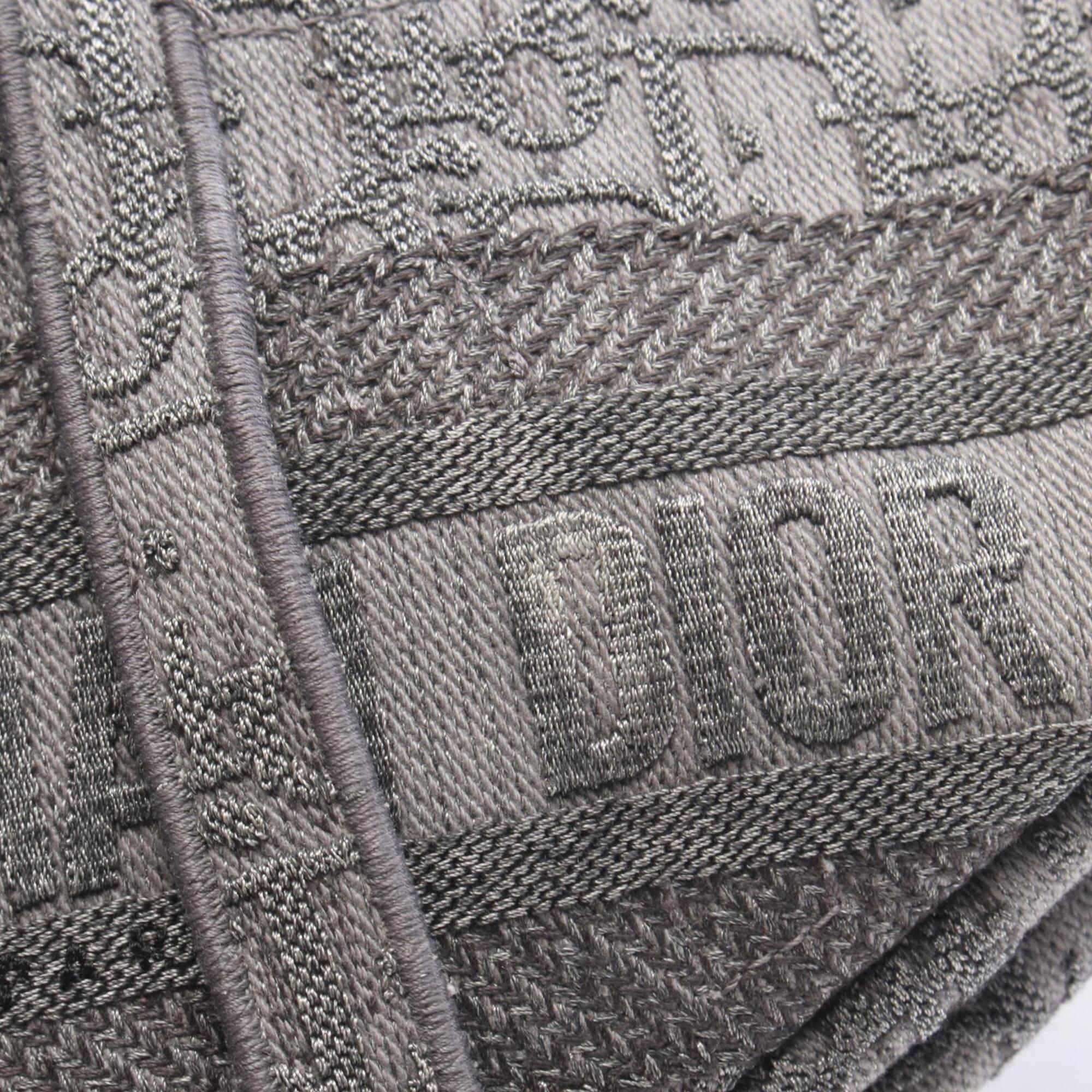 Christian Dior Gray Canvas Handbag Saddle Bag (Pre-Owned)