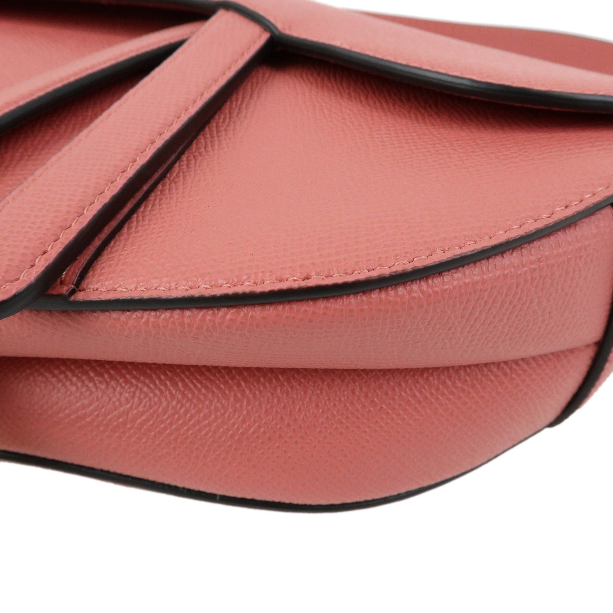 Christian Dior Saddle Embroidered Printed Leather Pink Leather Handbag (Pre-Owned)