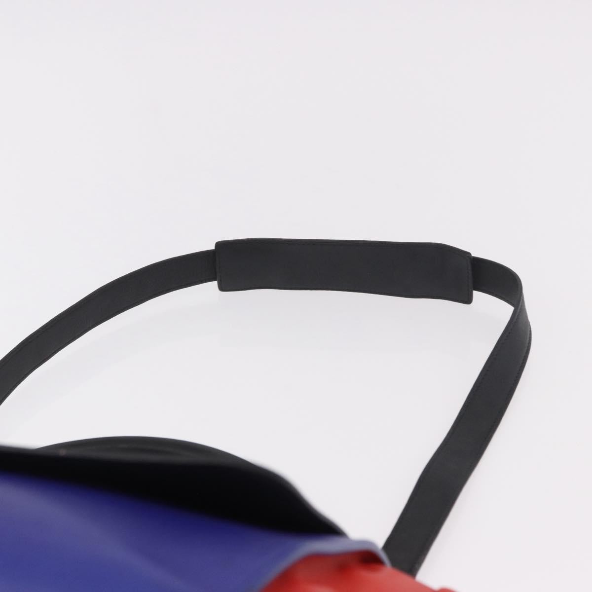 Celine Tricolor Trapeze Leather Multicolour Leather Handbag (Pre-Owned)