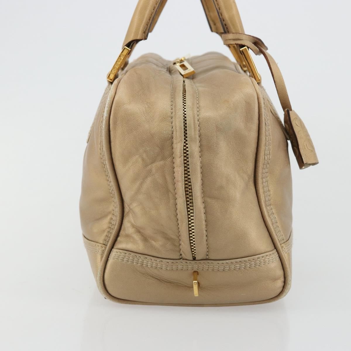 Loewe Amazona Leather Gold Leather Handbag (Pre-Owned)