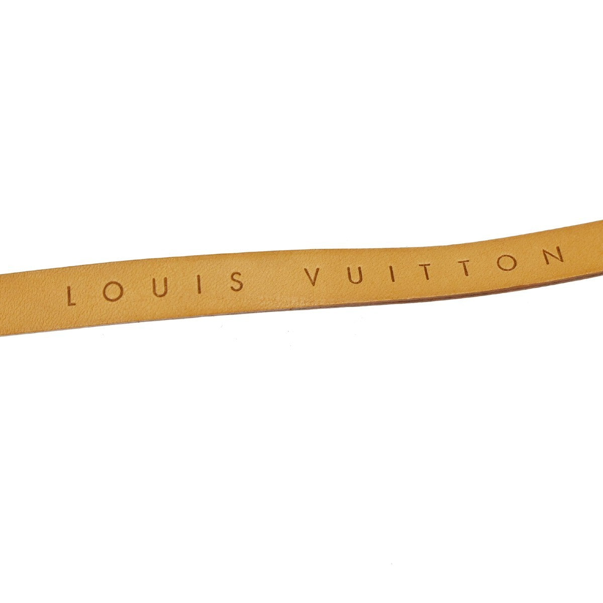 Louis Vuitton Florentine Pochette Canvas Brown Canvas Clutche & Pouche Bag (Pre-Owned)