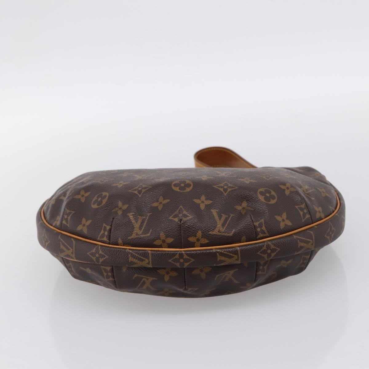 Louis Vuitton Croissant Monogram Canvas Brown Canvas Handbag (Pre-Owned)