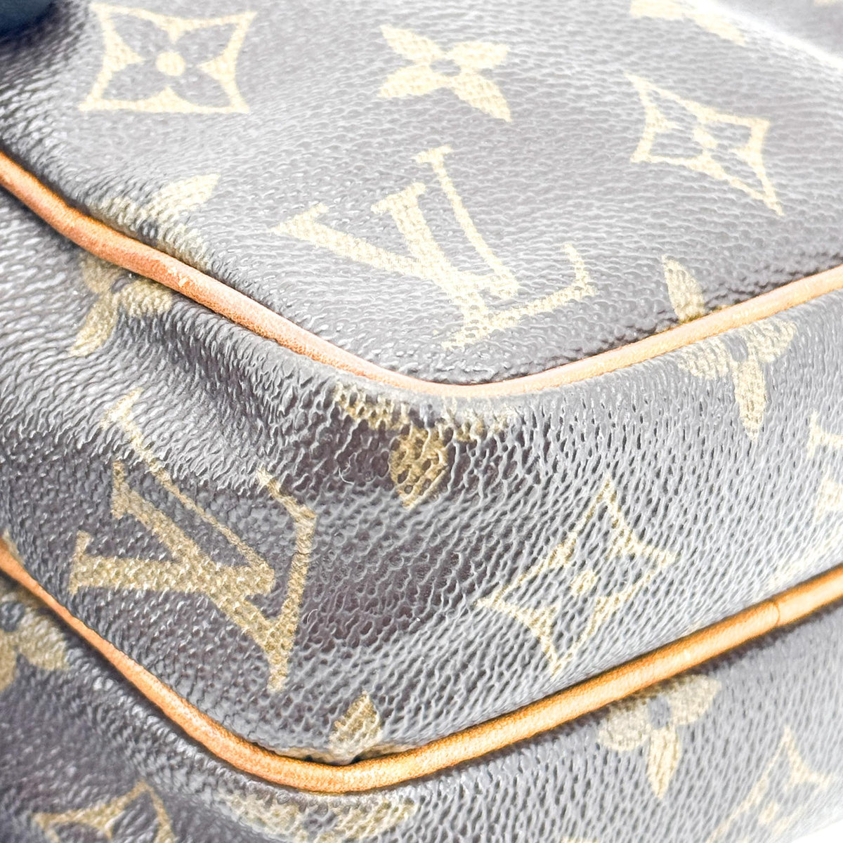 Louis Vuitton Amazone Monogram Canvas Brown Canvas Handbag (Pre-Owned)